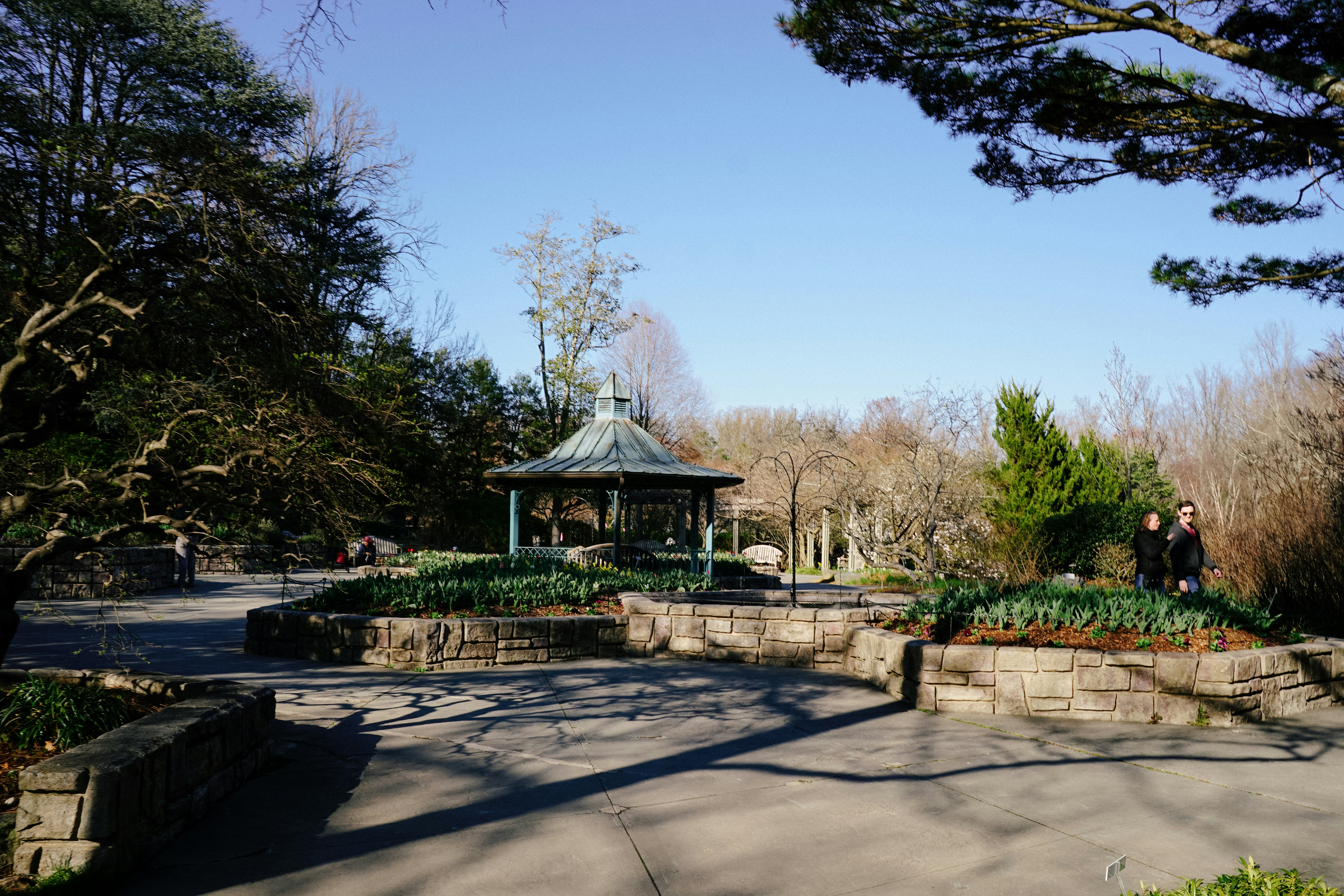 A park with a gazebo surrounded by trees