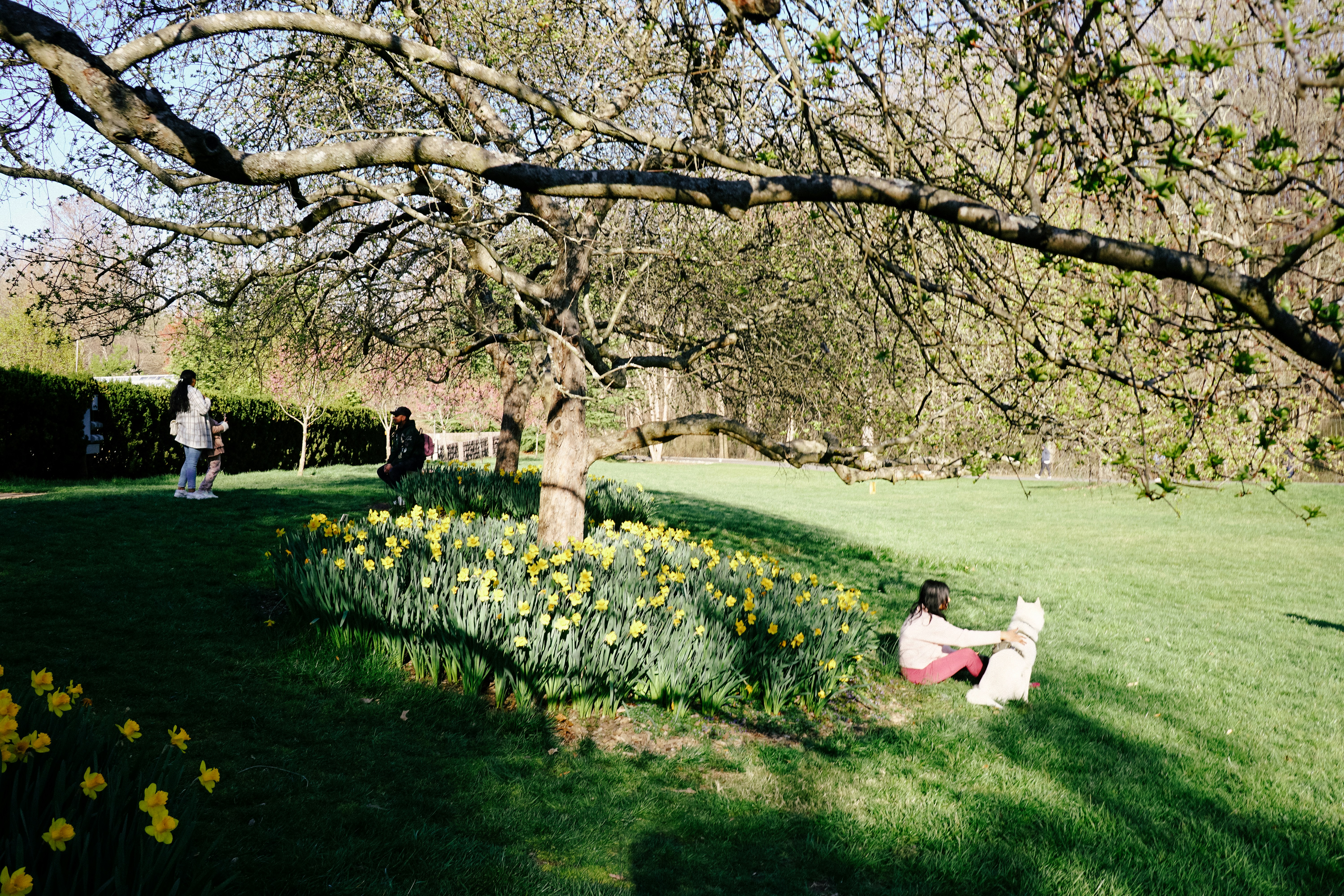 Photo by director_homie