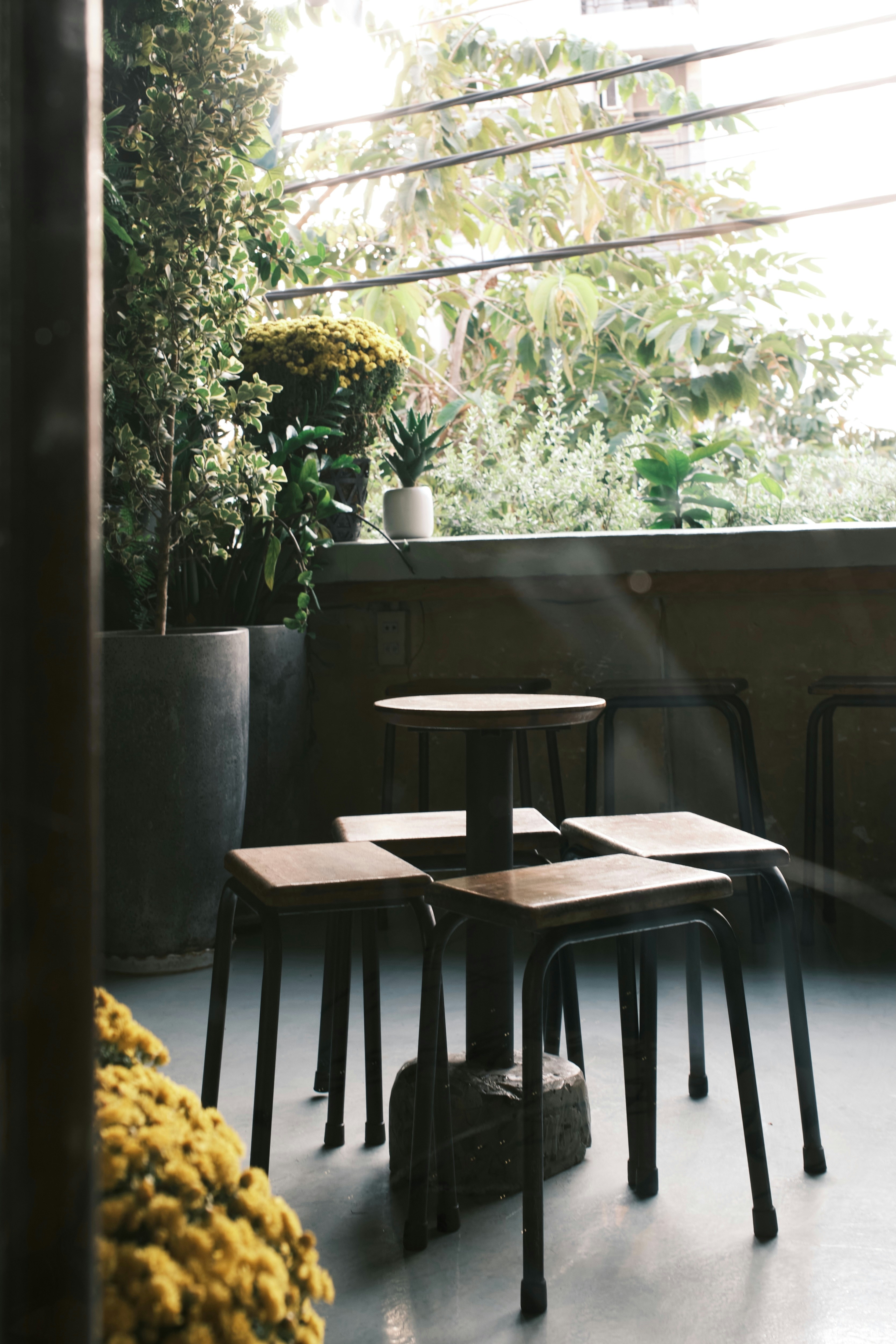 Photo by lenguyenkhoi