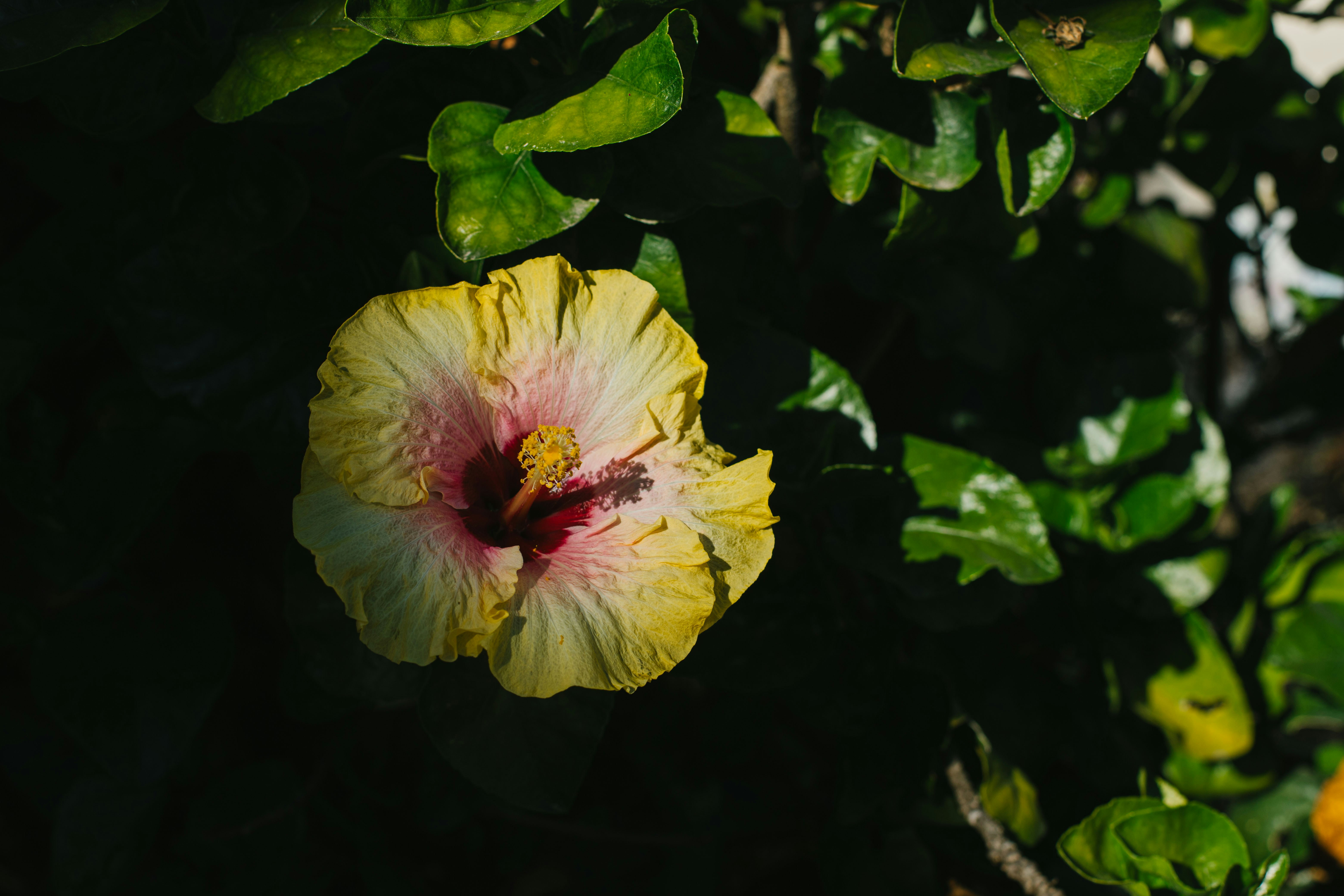 Photo by hectoroconnor