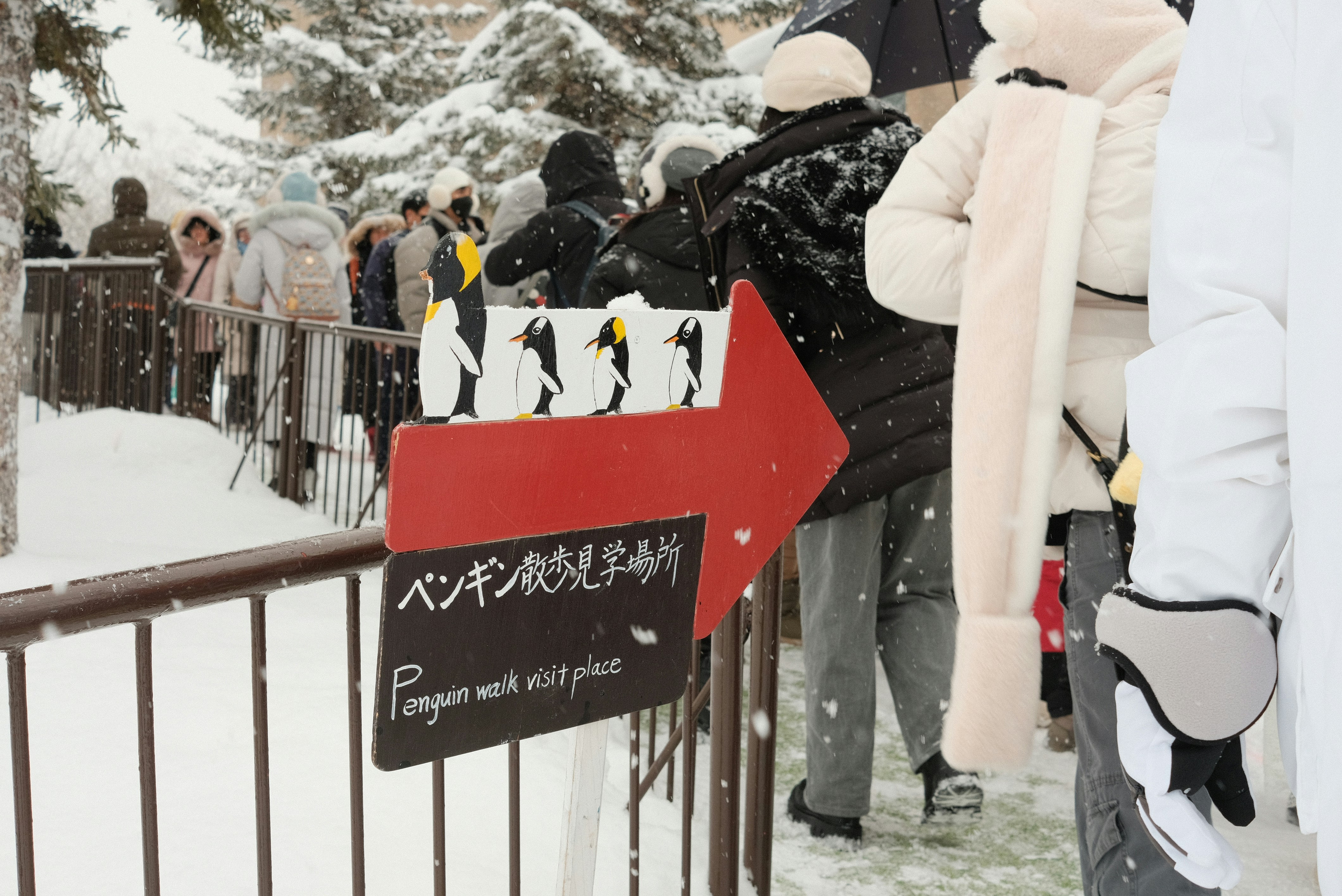 Ski resort ticket counter with 'チケット売り場' sign, person buying a ticket
