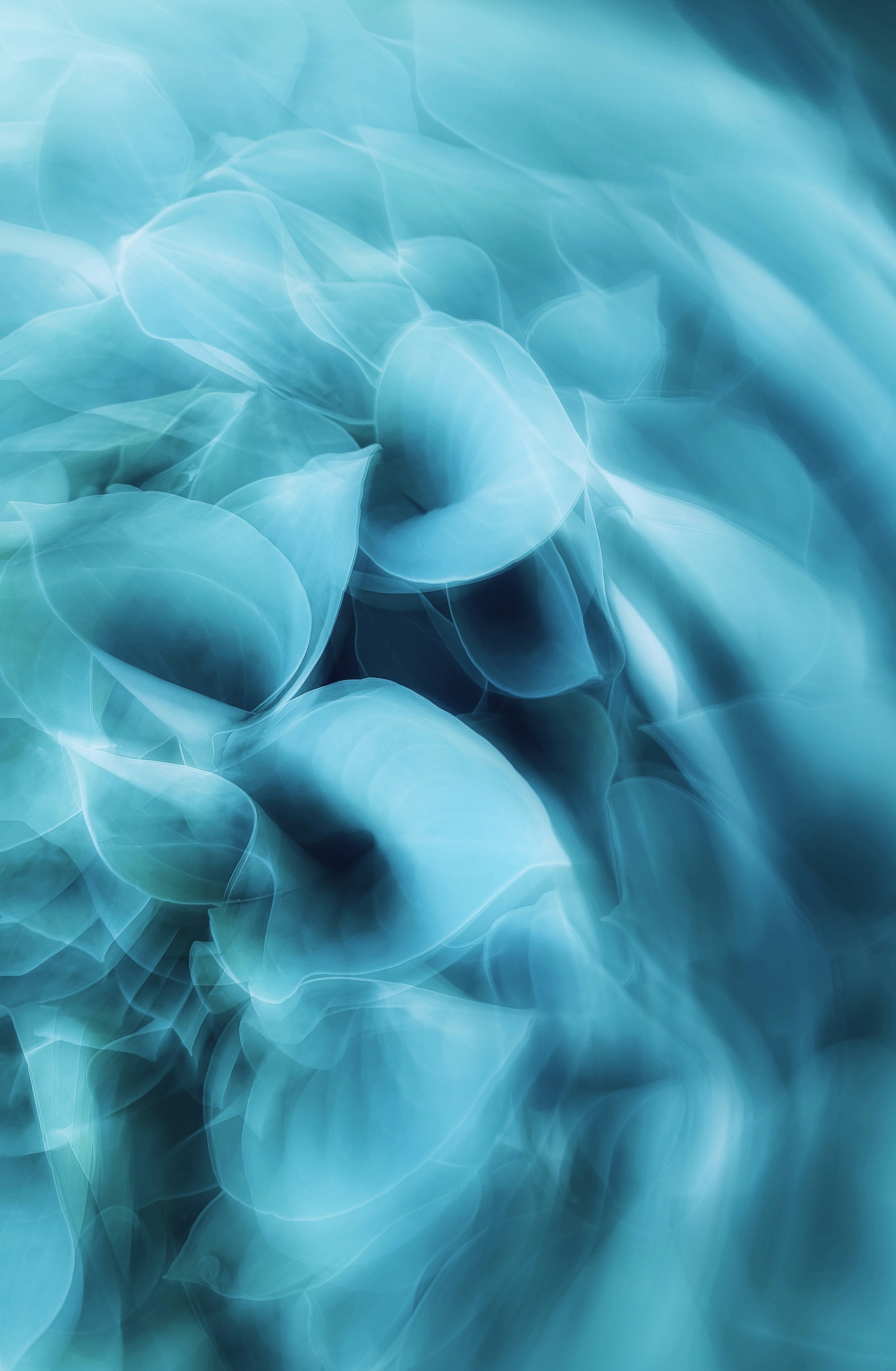 Photo by eugene_golovesov