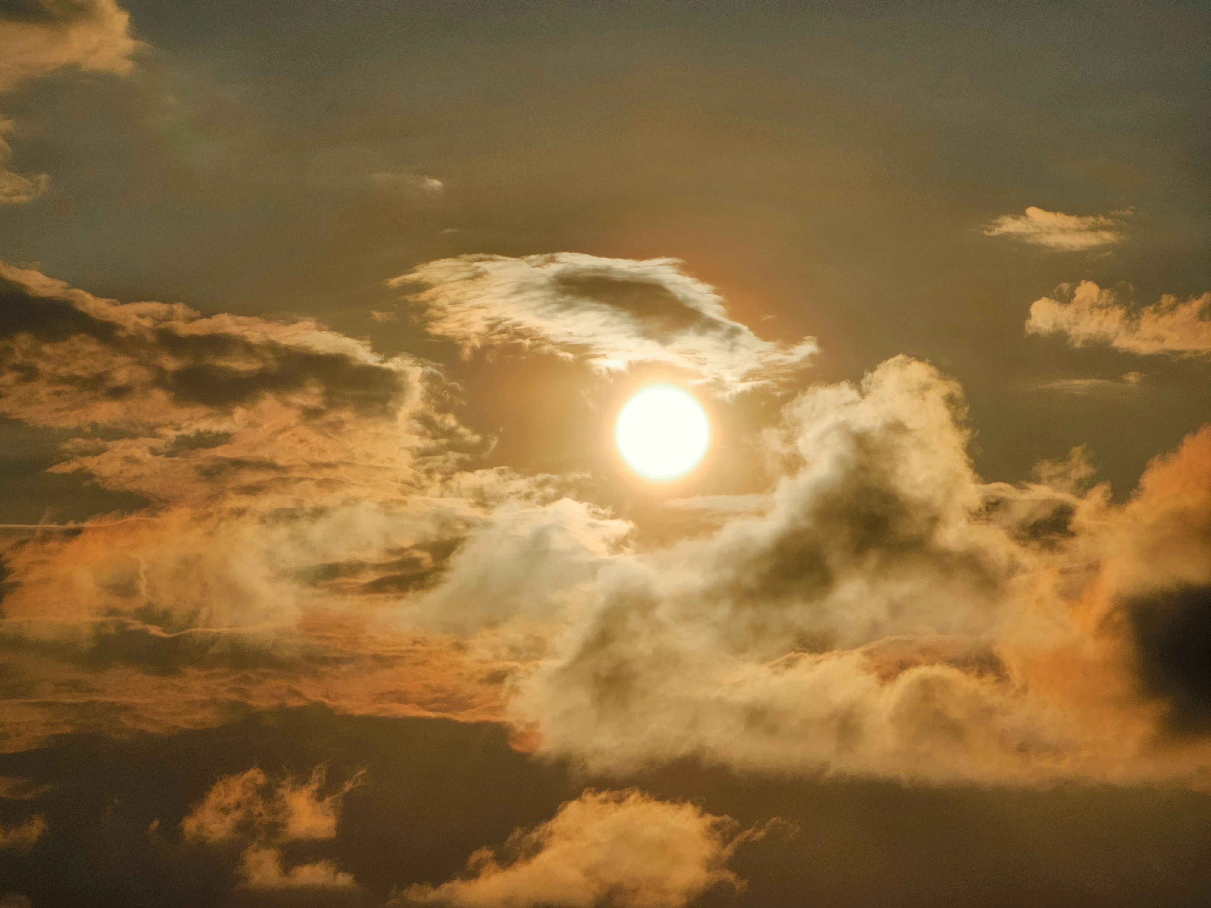 Photo by hypocriteeeee