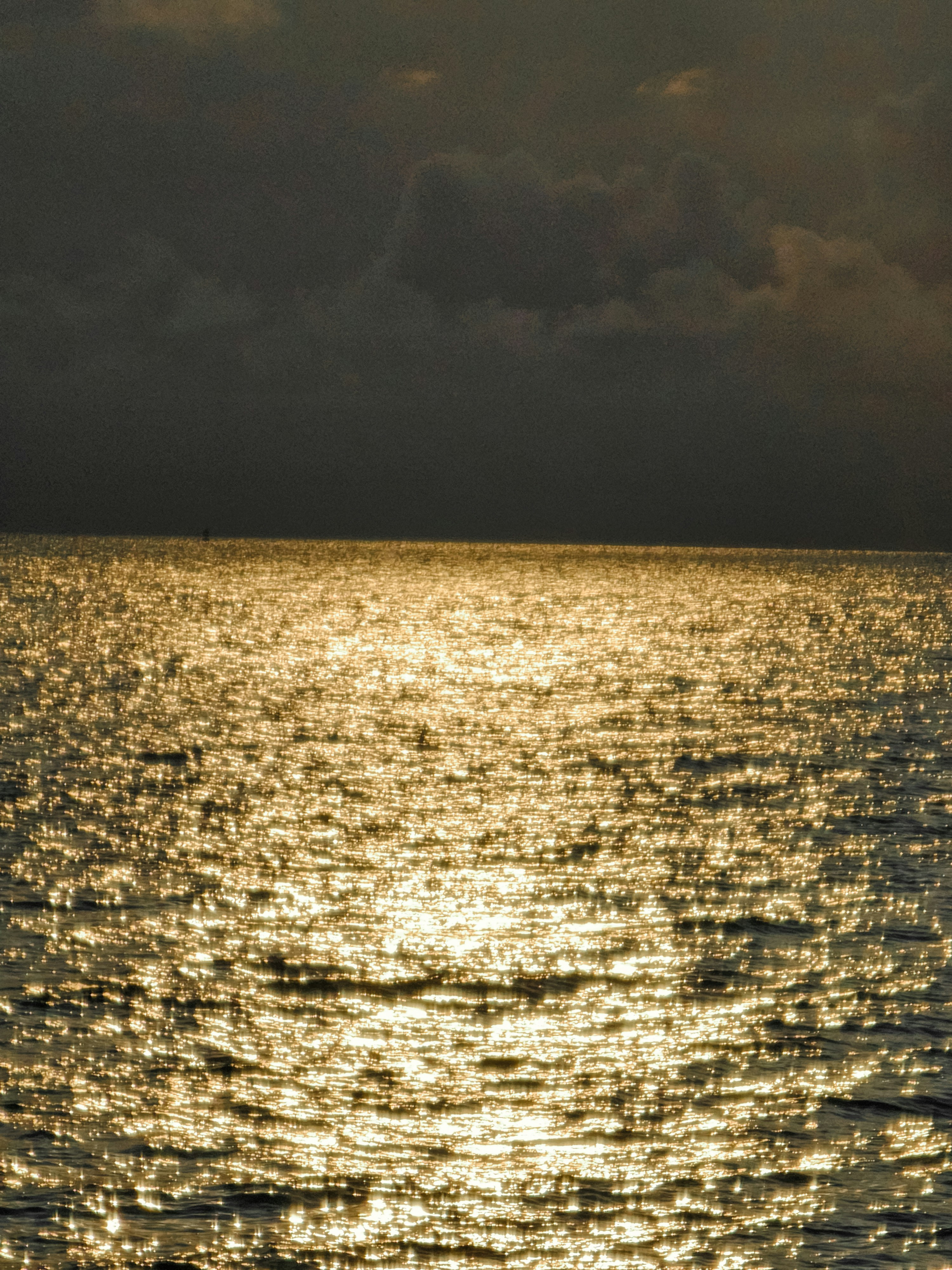 Photo by hypocriteeeee