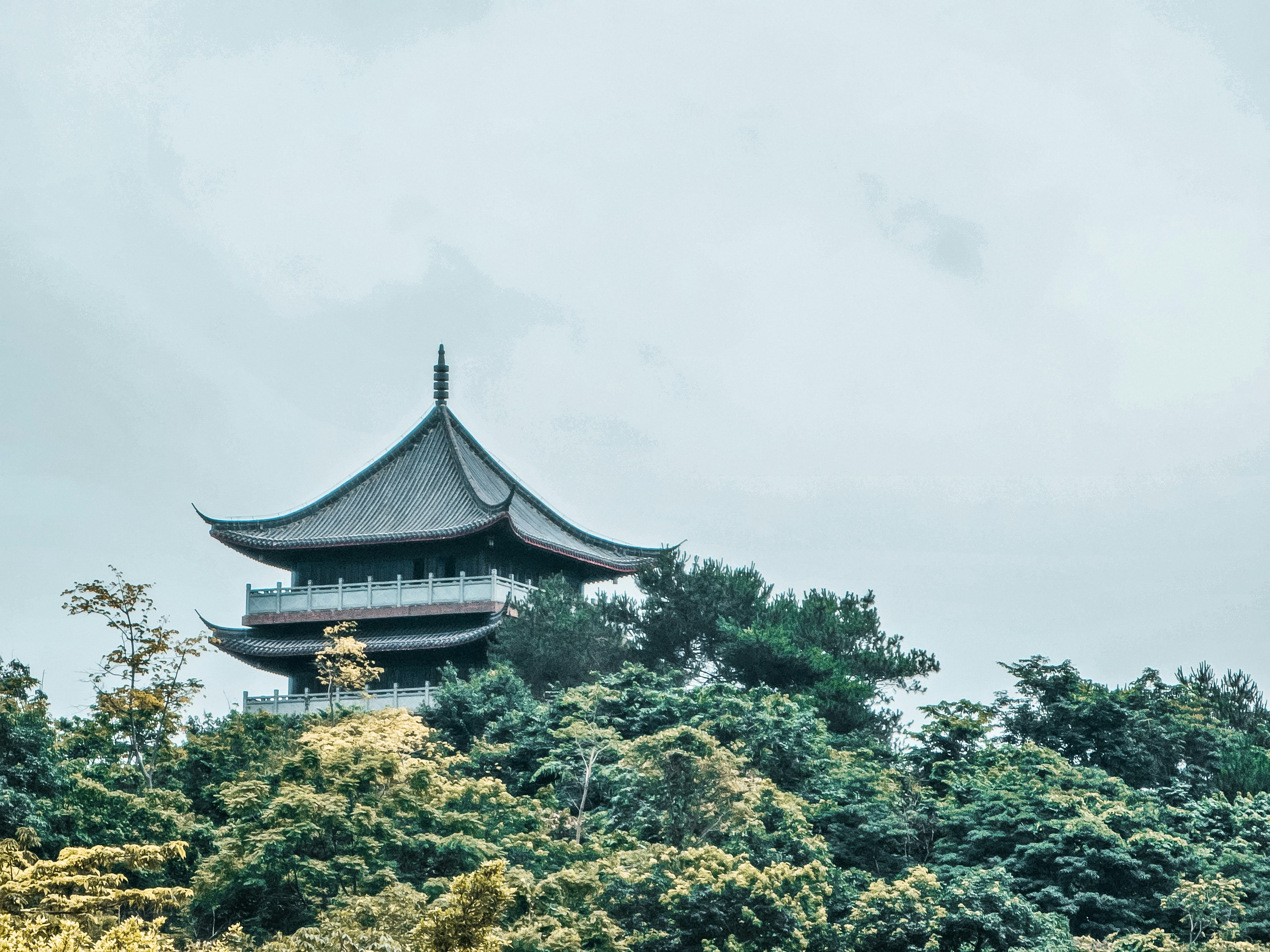 Photo by hypocriteeeee