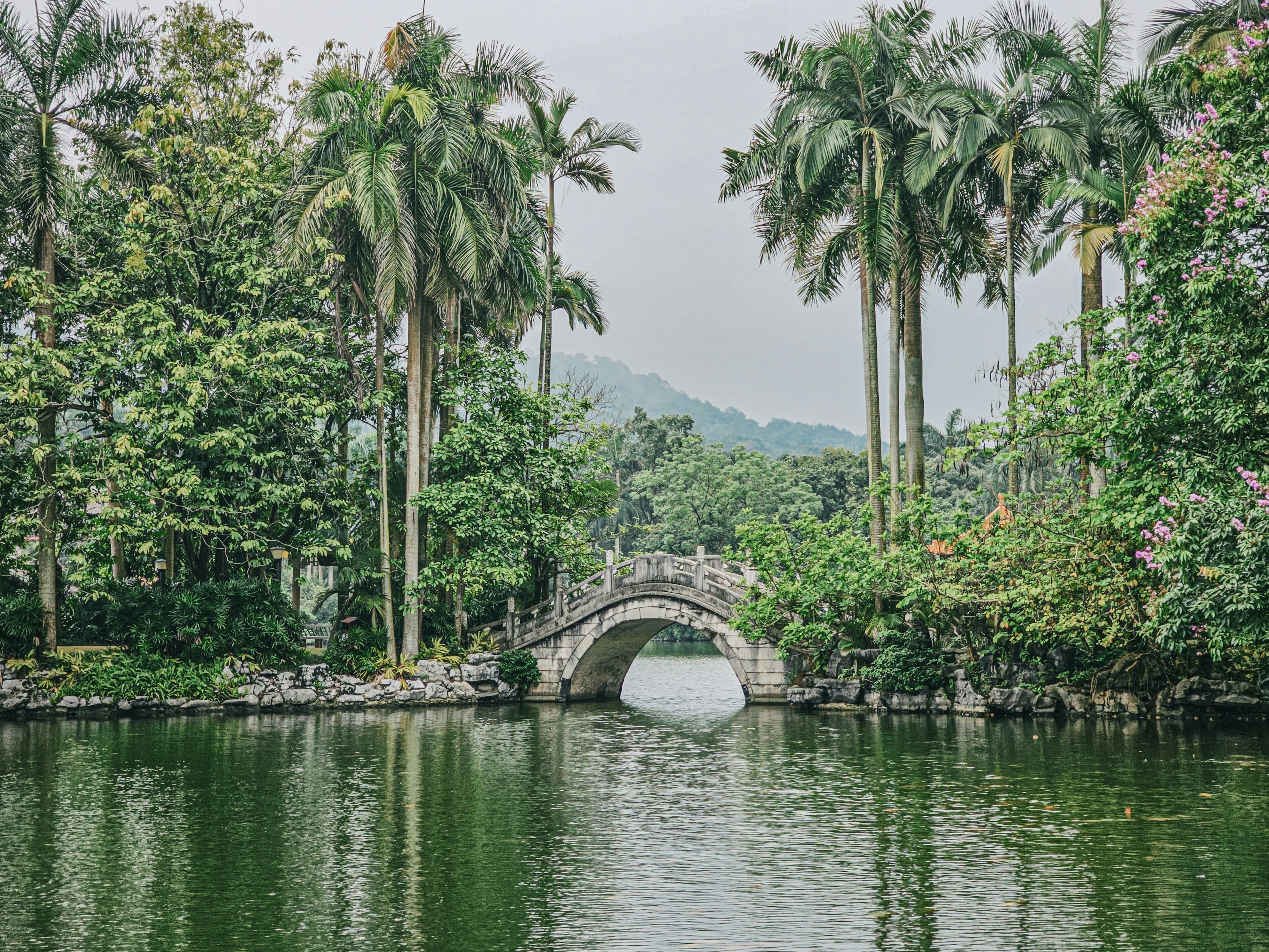 photo 1738735782445 7b9cec69bb73?crop=entropy&cs=tinysrgb&fit=max&fm=jpg&ixid=M3w1MjQ0NjR8MHwxfHNlYXJjaHwxN3x8U2VyZW5pdHklMjBQb25kfGVufDB8MHx8fDE3NDMxNDcwMDB8MA&ixlib=rb 4.0