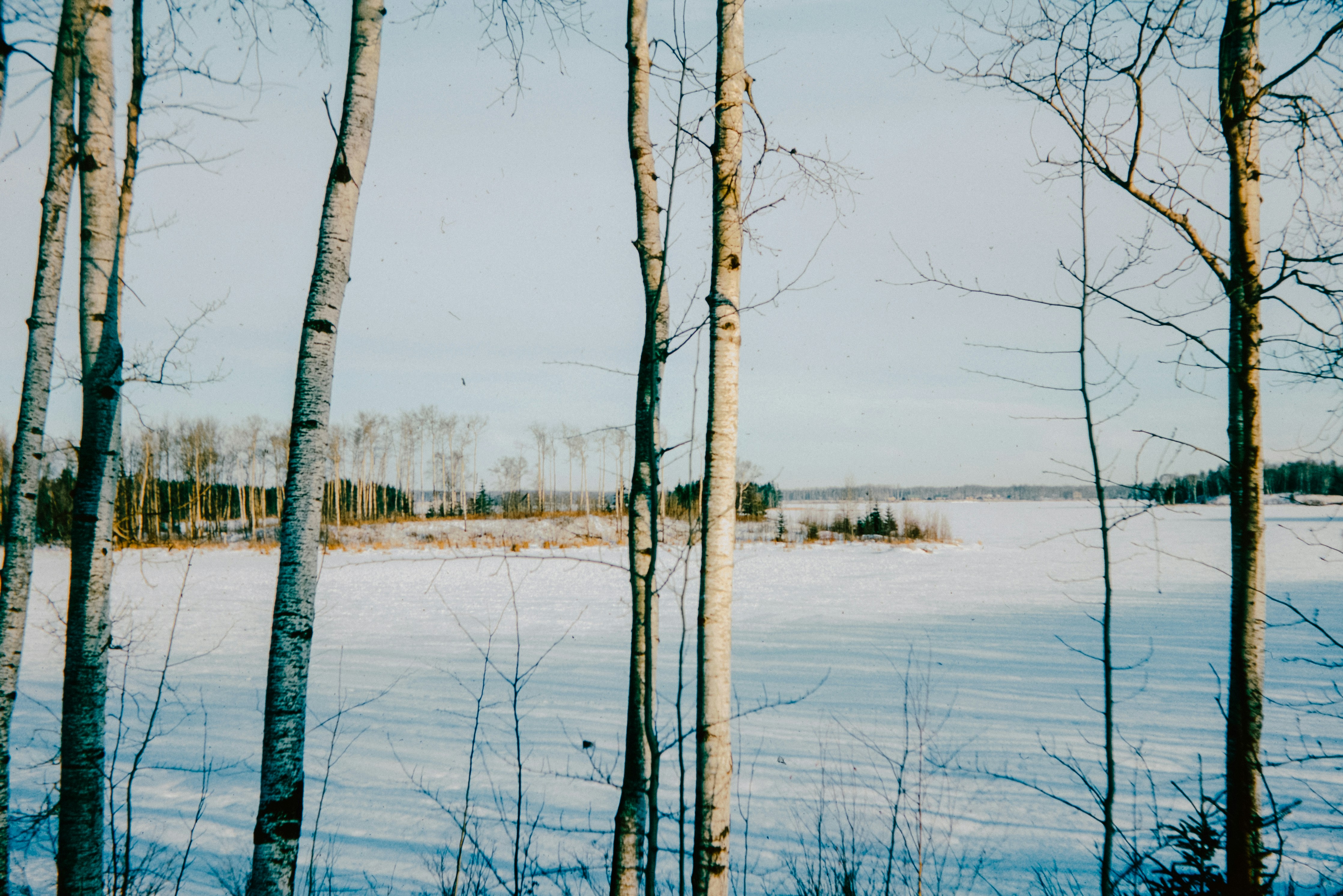 Photo by anniespratt