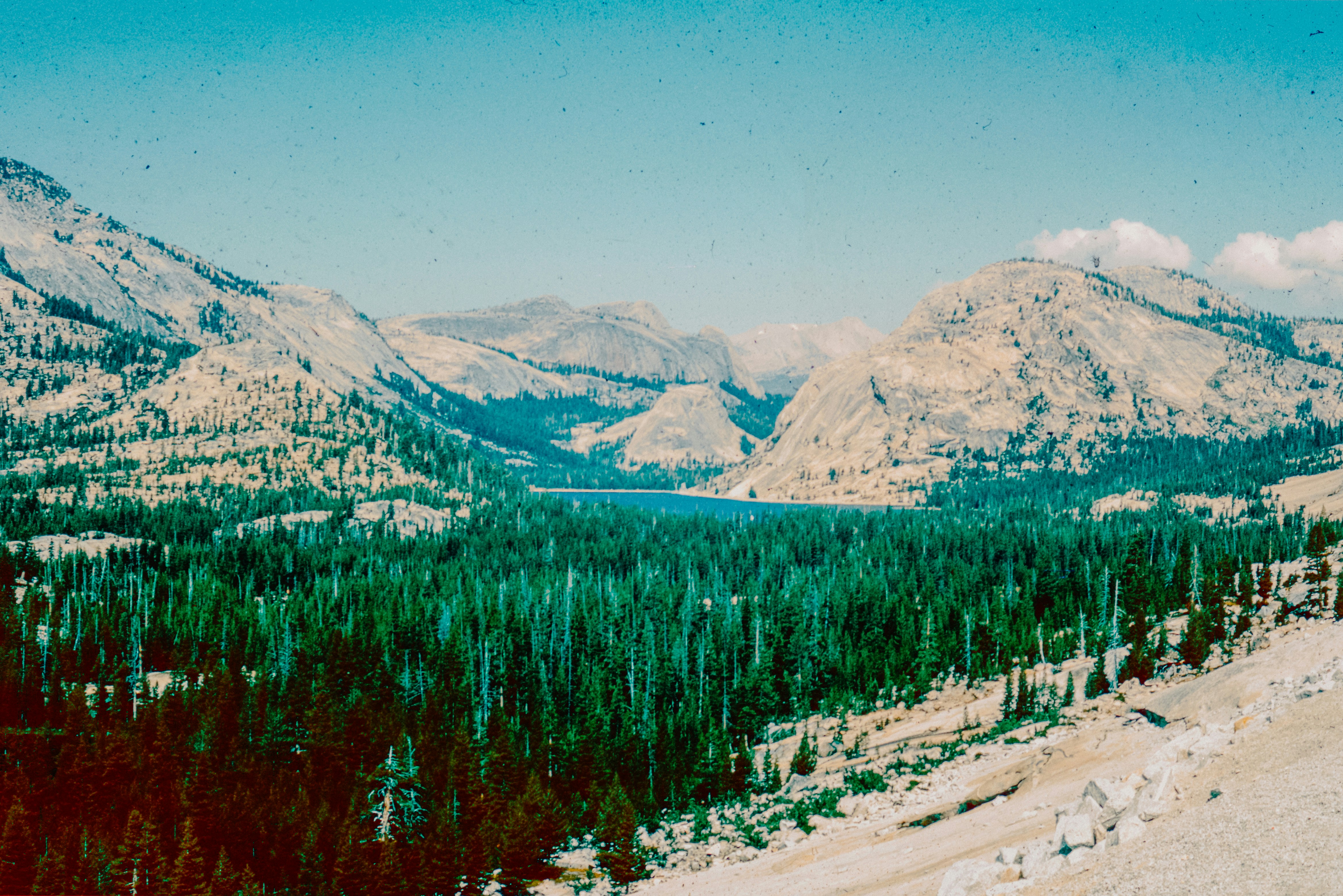 Photo by anniespratt