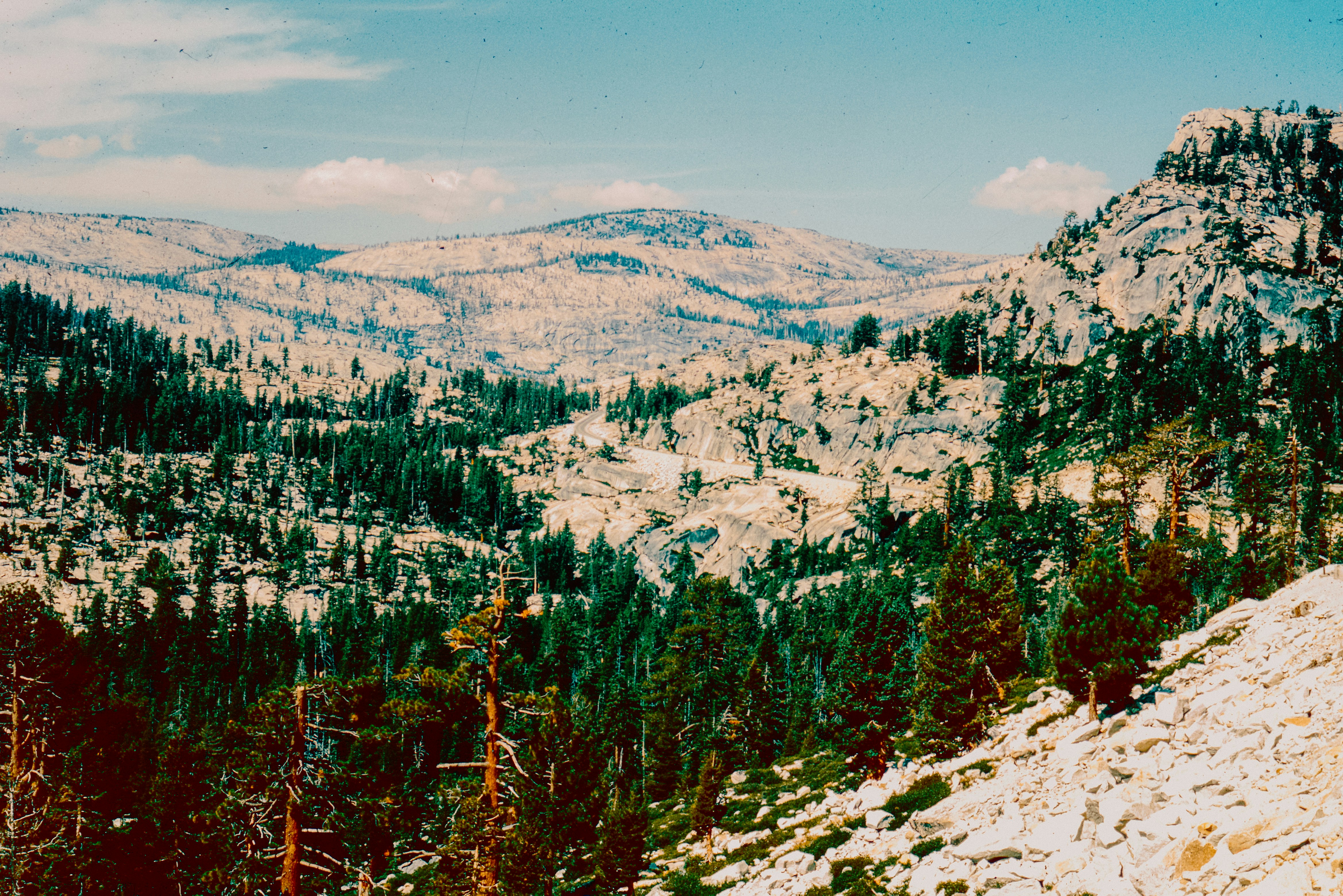 Photo by anniespratt