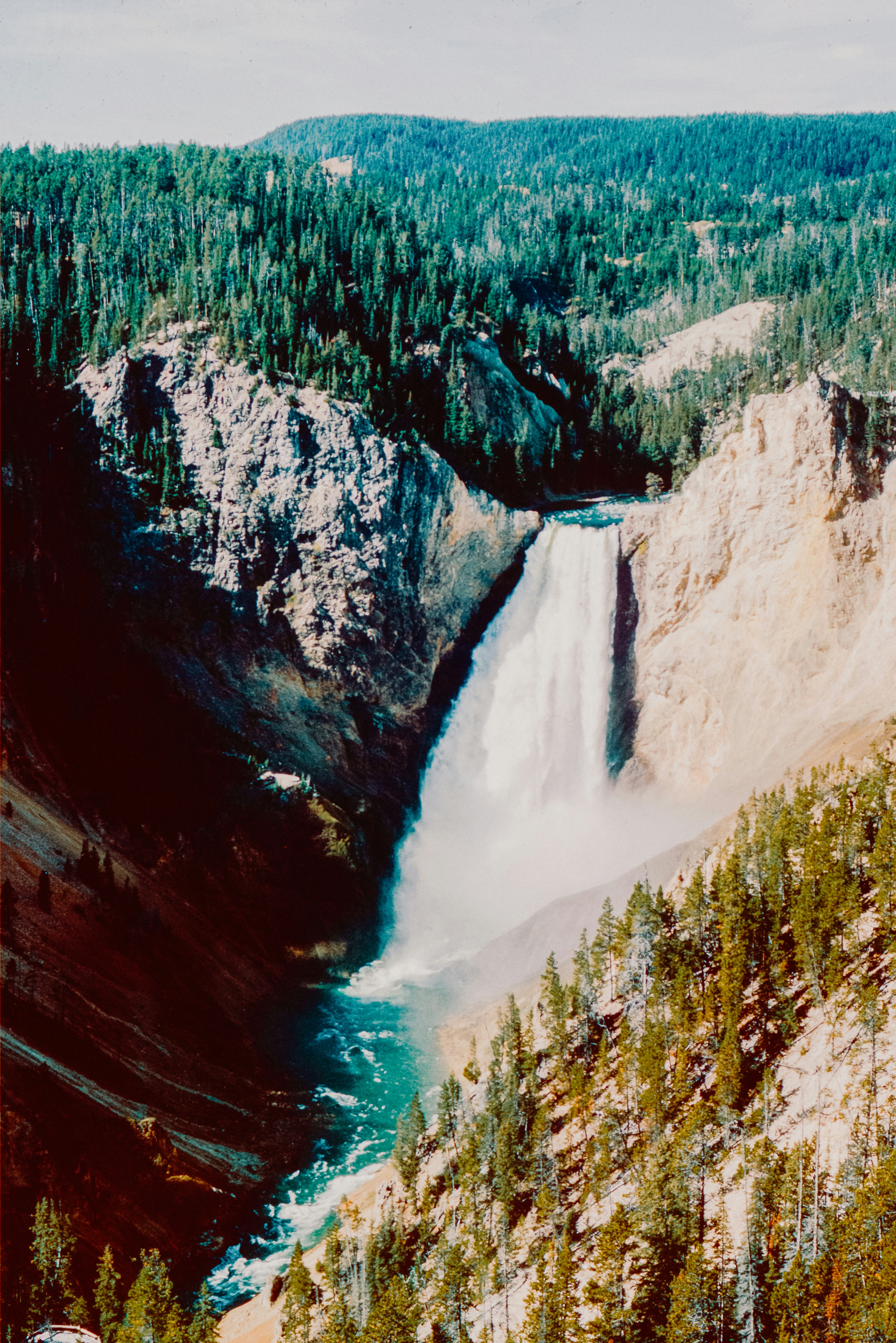 Photo by anniespratt