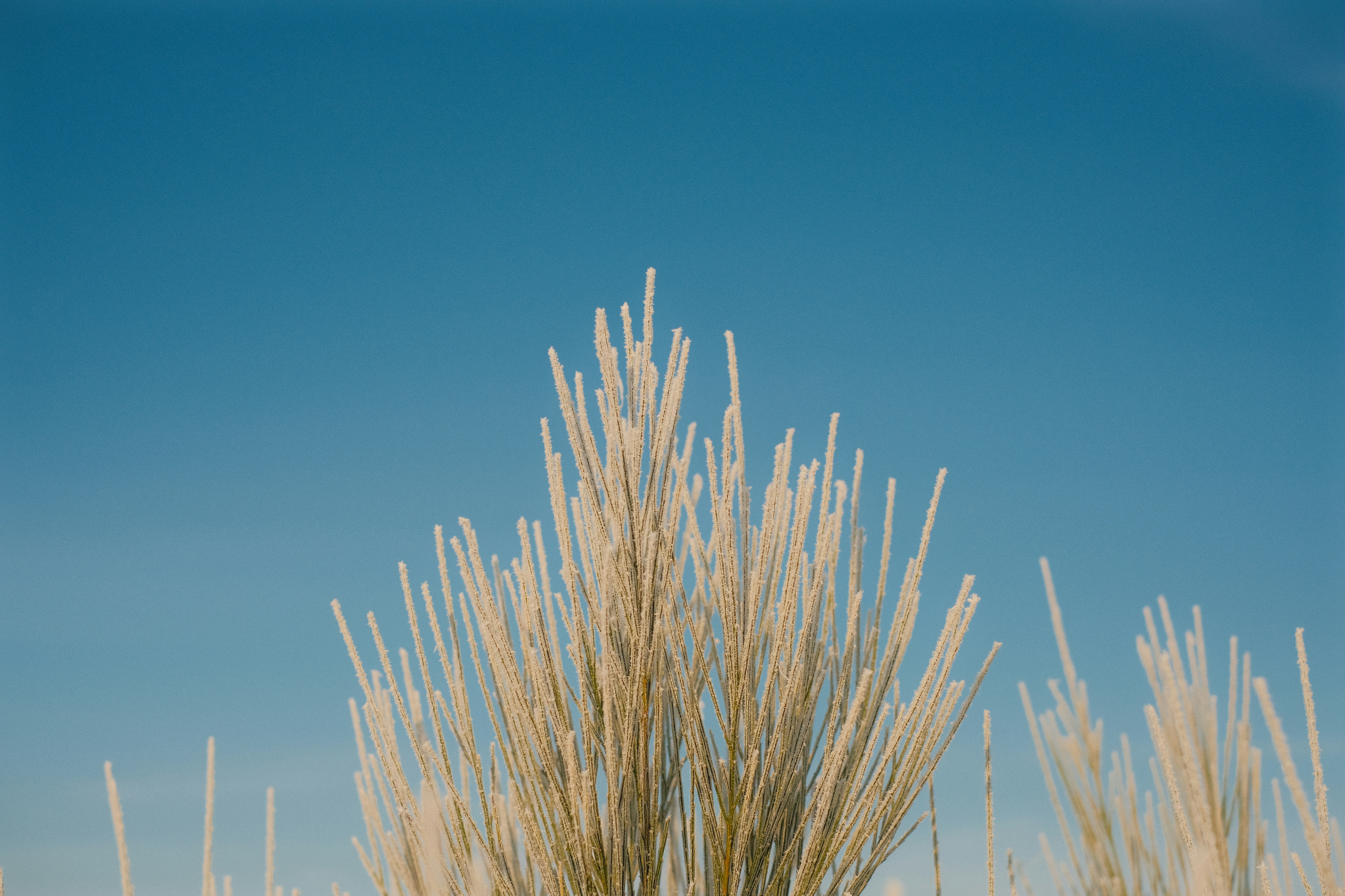 Photo by visualsbying