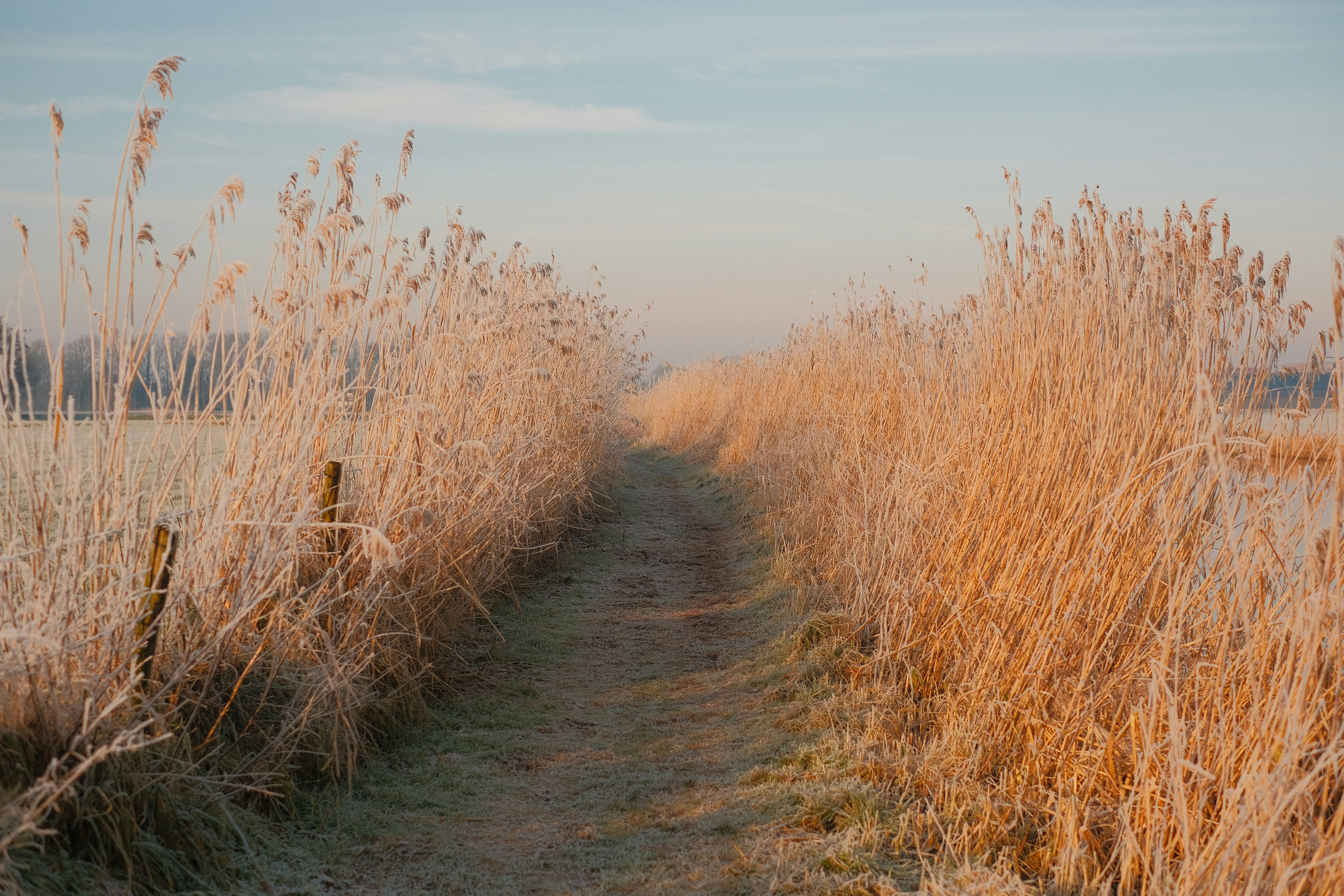 Photo by visualsbying