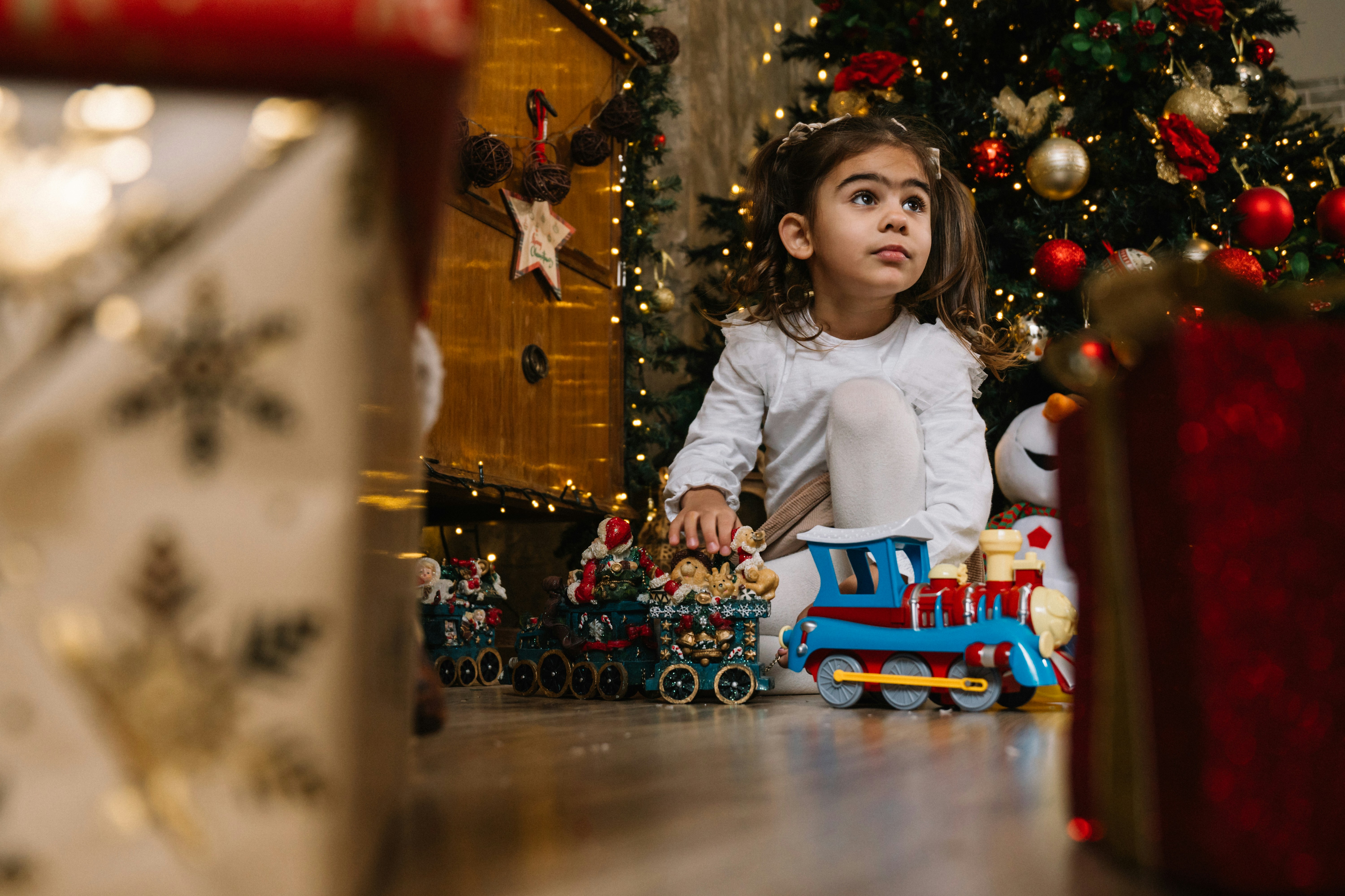 Photo by knuckles_echidna