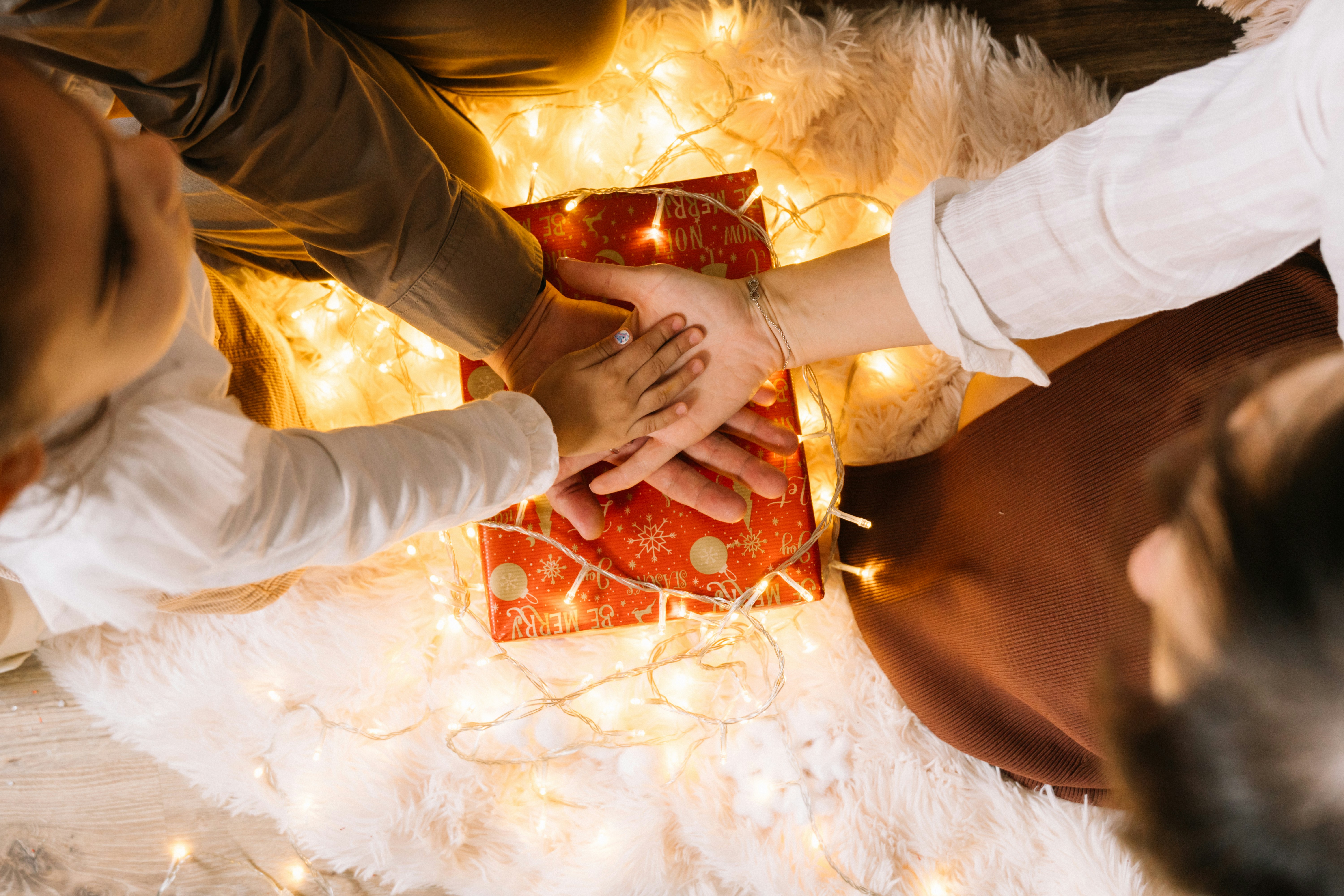 Photo by knuckles_echidna