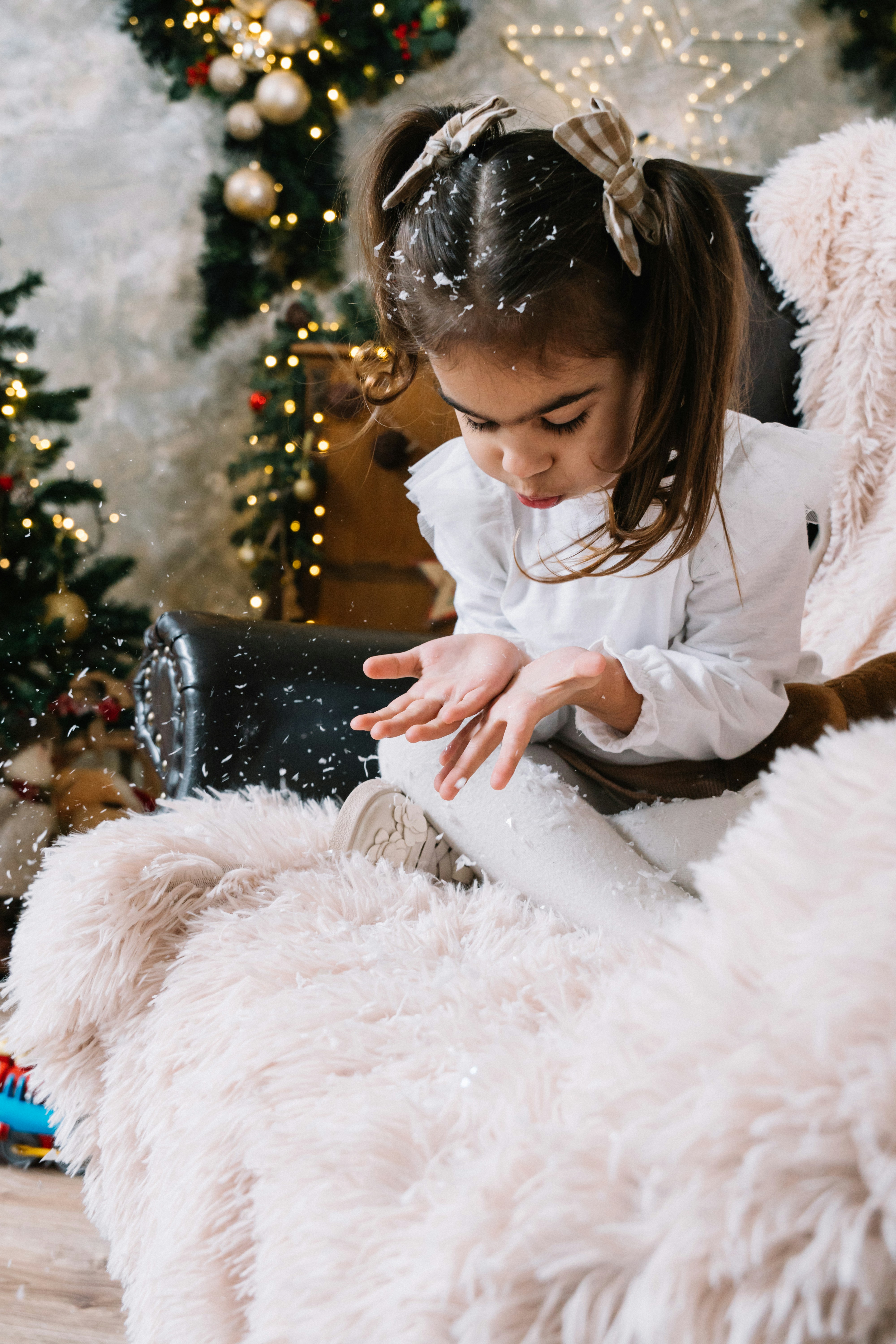 Photo by knuckles_echidna