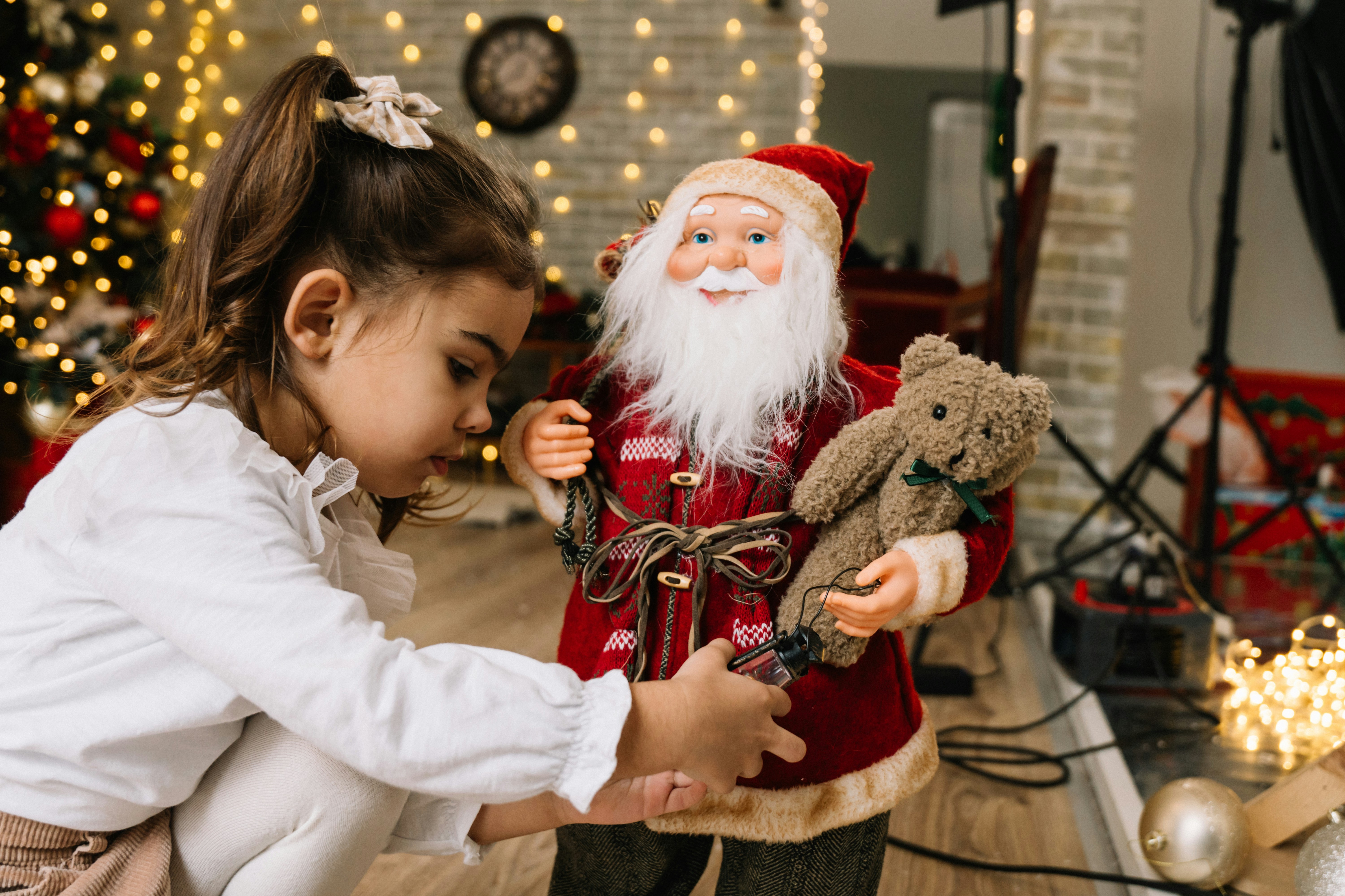 Photo by knuckles_echidna