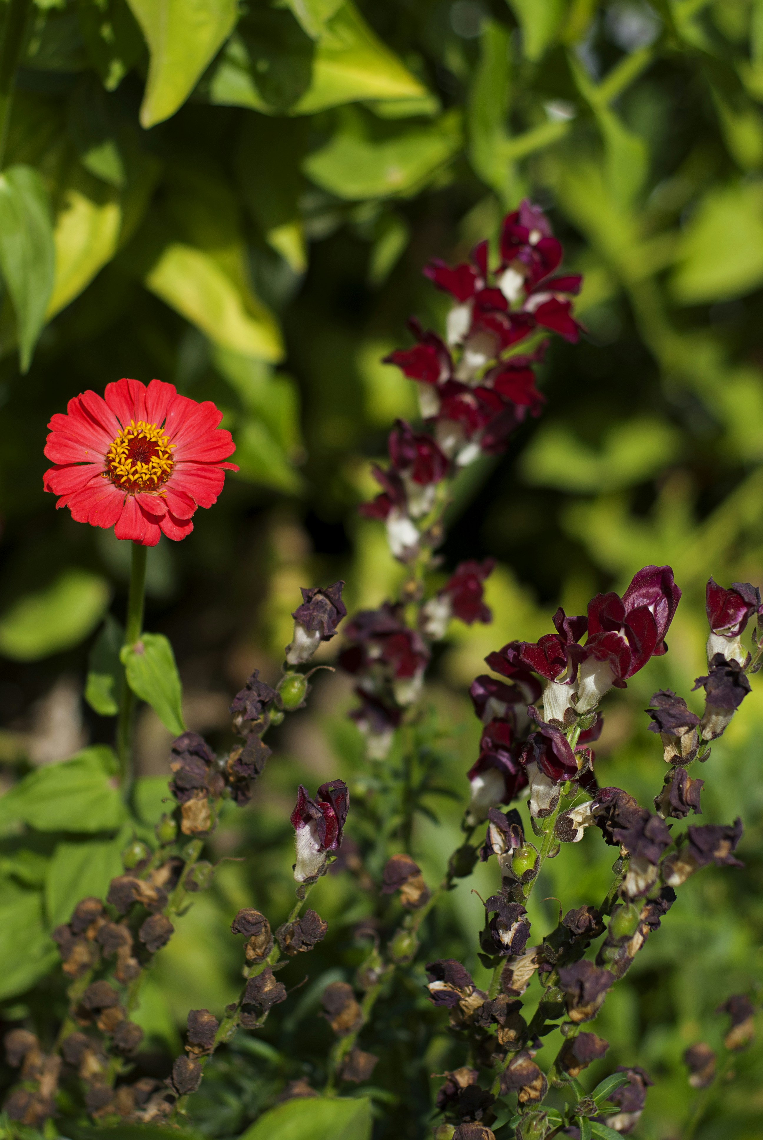 Photo by kovalskihelga