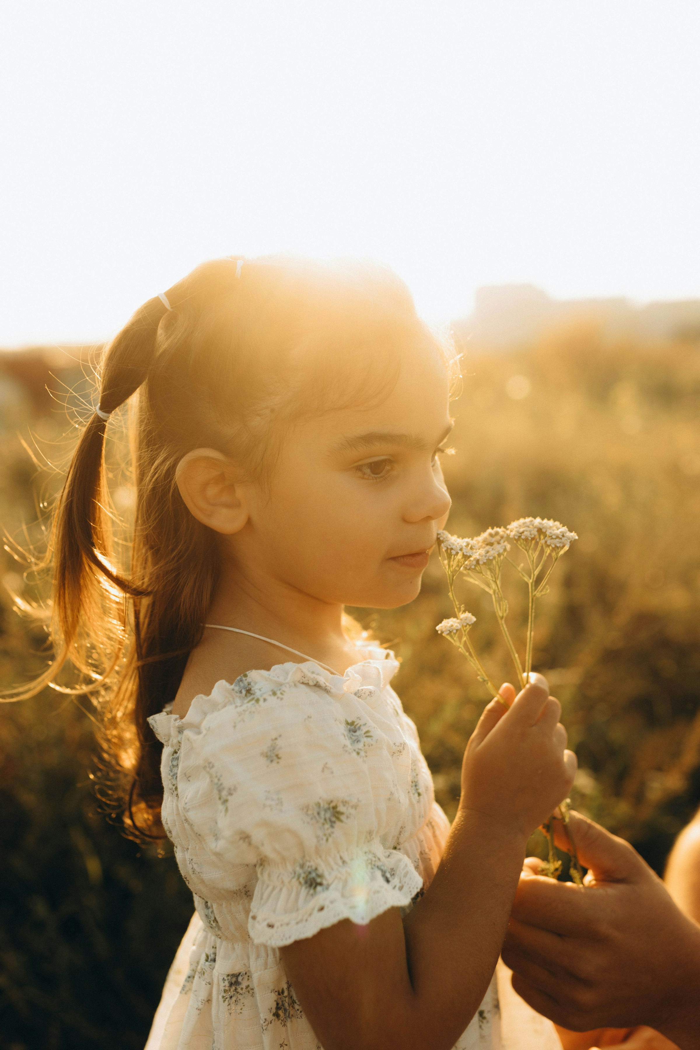 Photo by knuckles_echidna