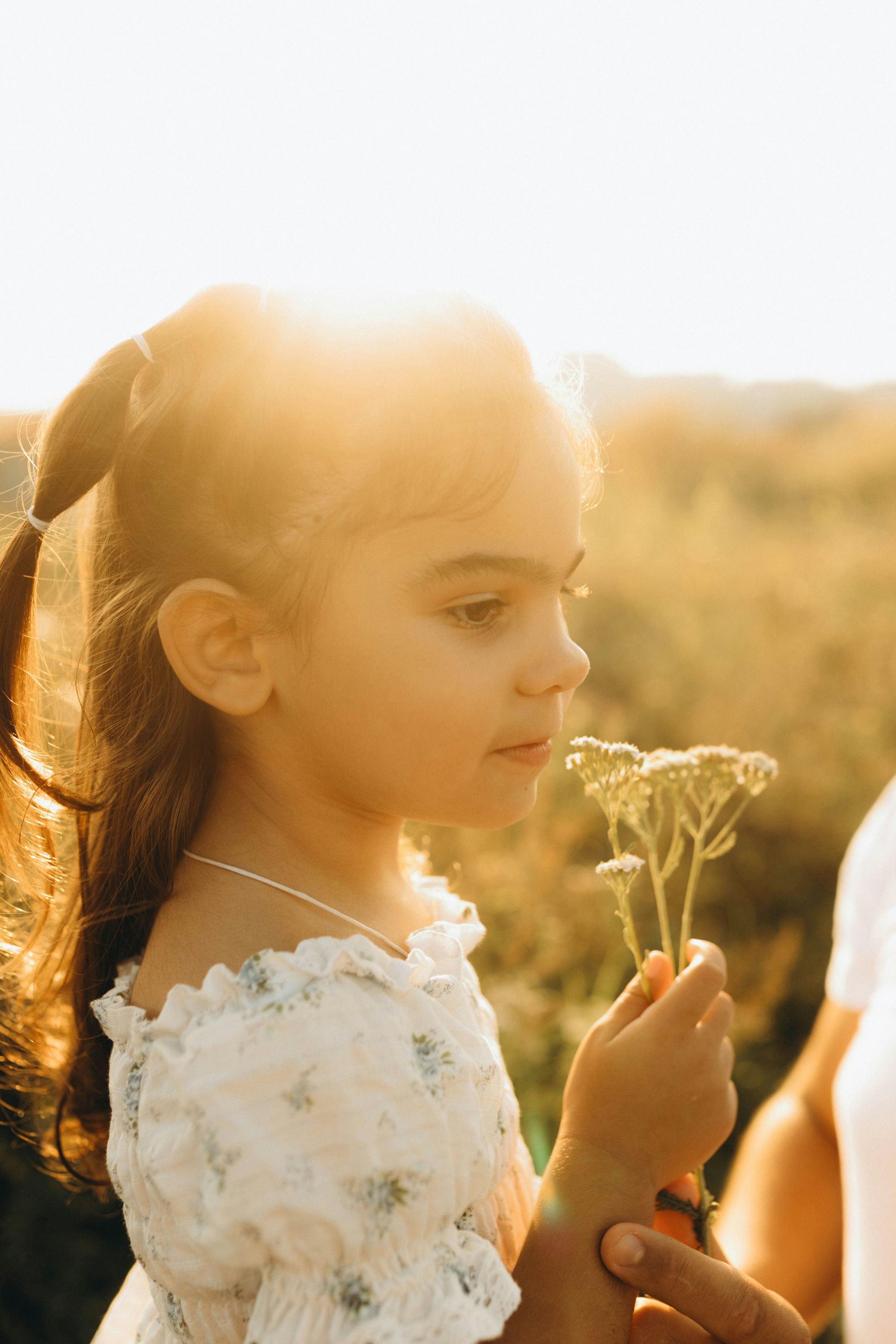 Photo by knuckles_echidna