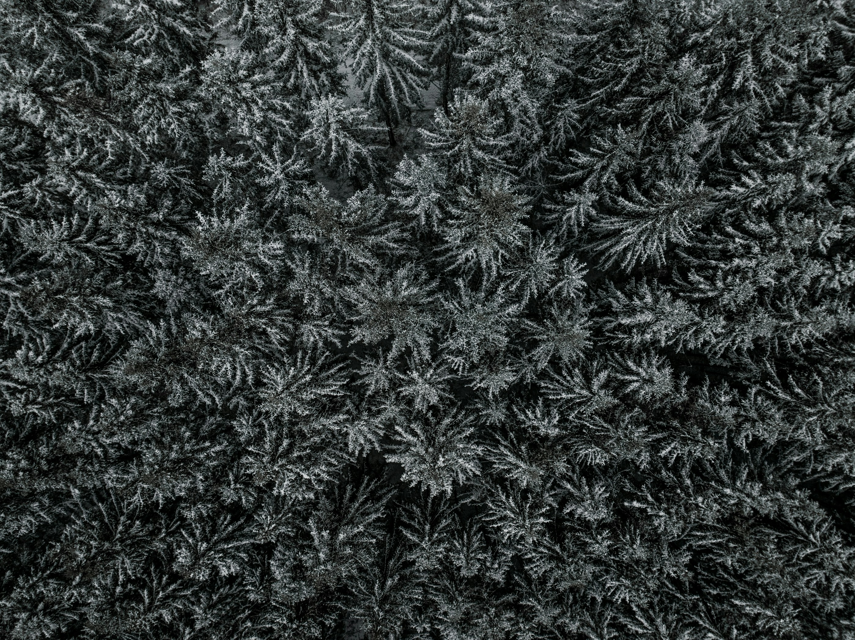 입시 면접, 당락을 결정짓는 핵심 질문 리스트!