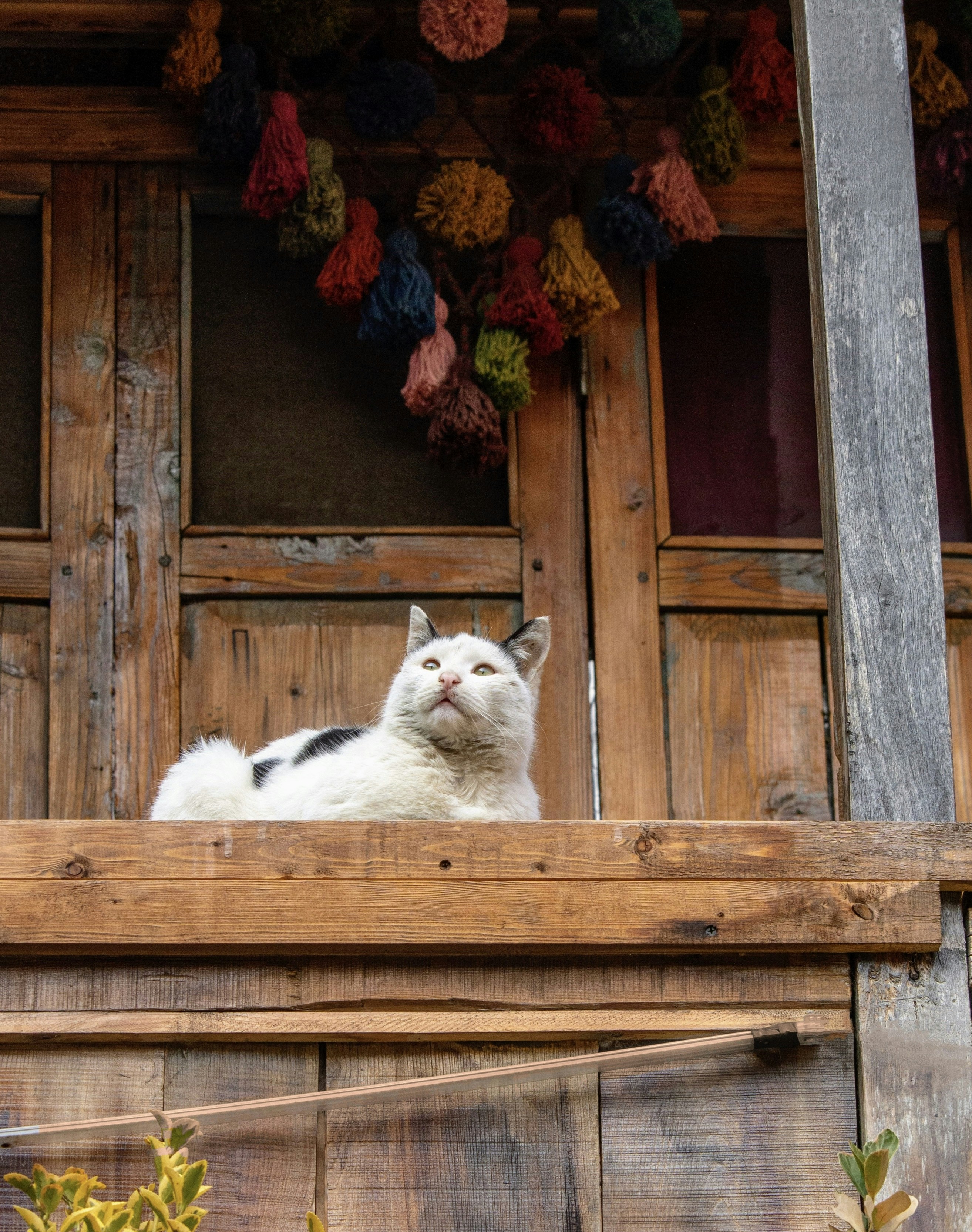 Photo by farid_karimi