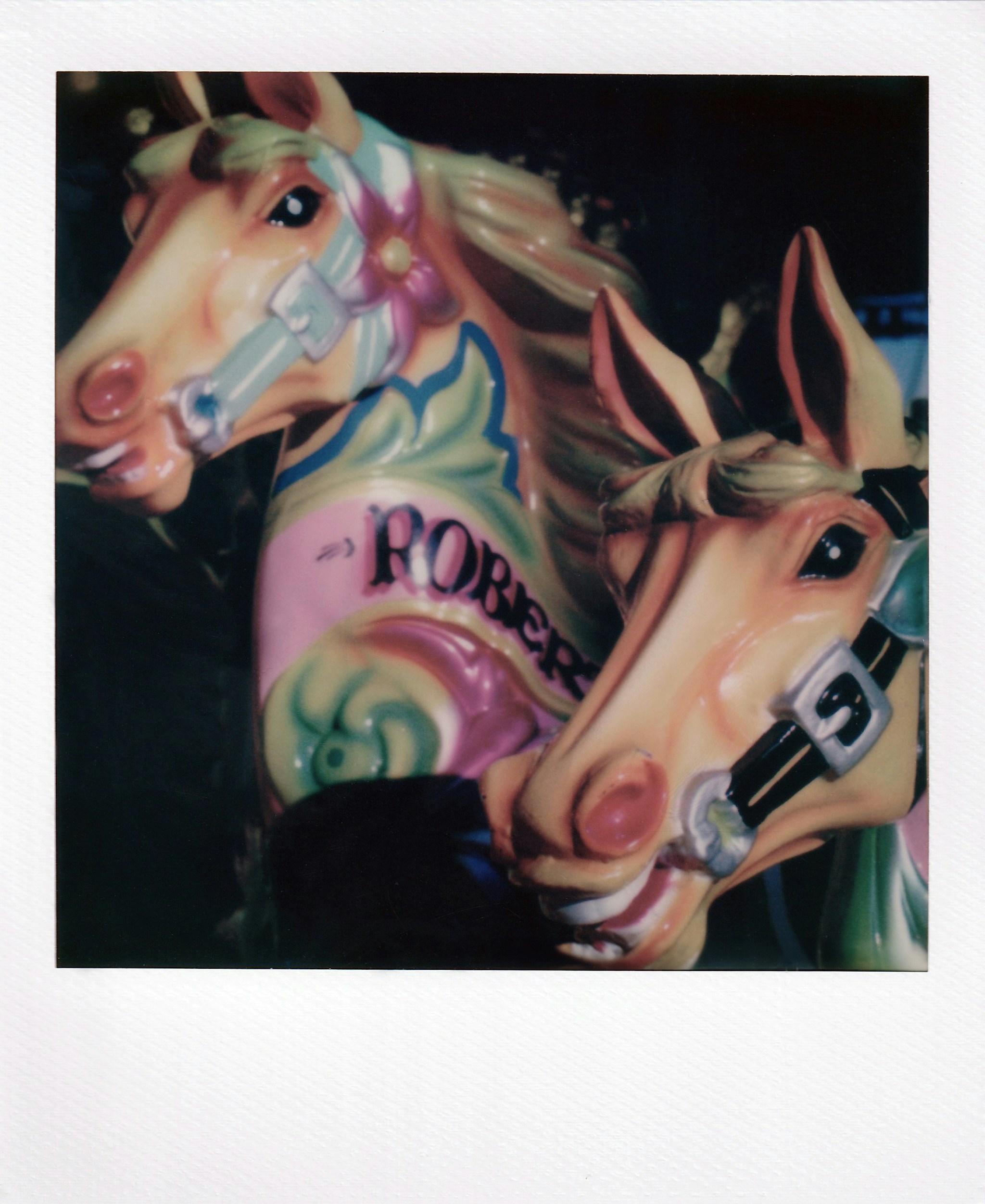 A couple of horses that are next to each other