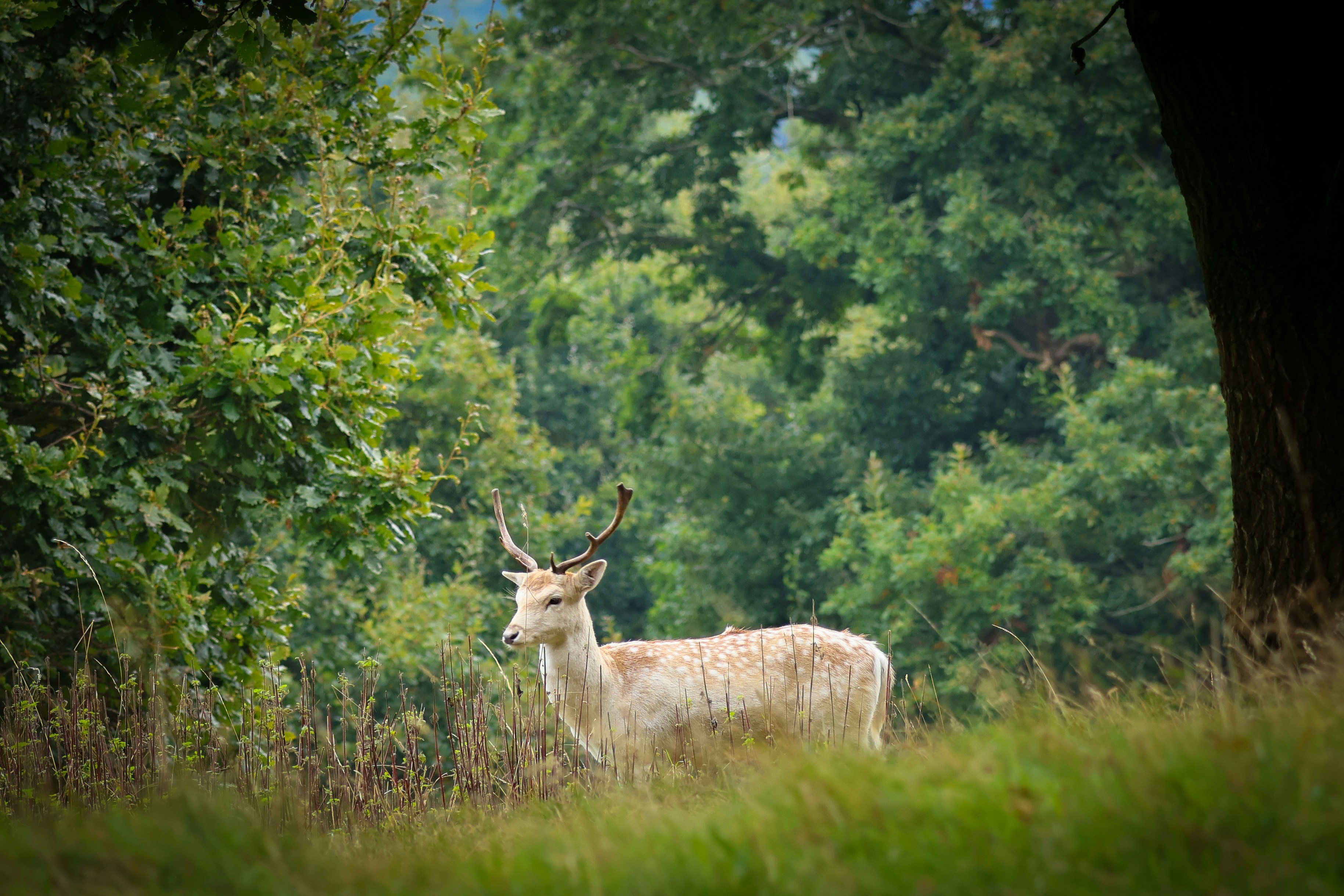 Photo by lucyamelia1