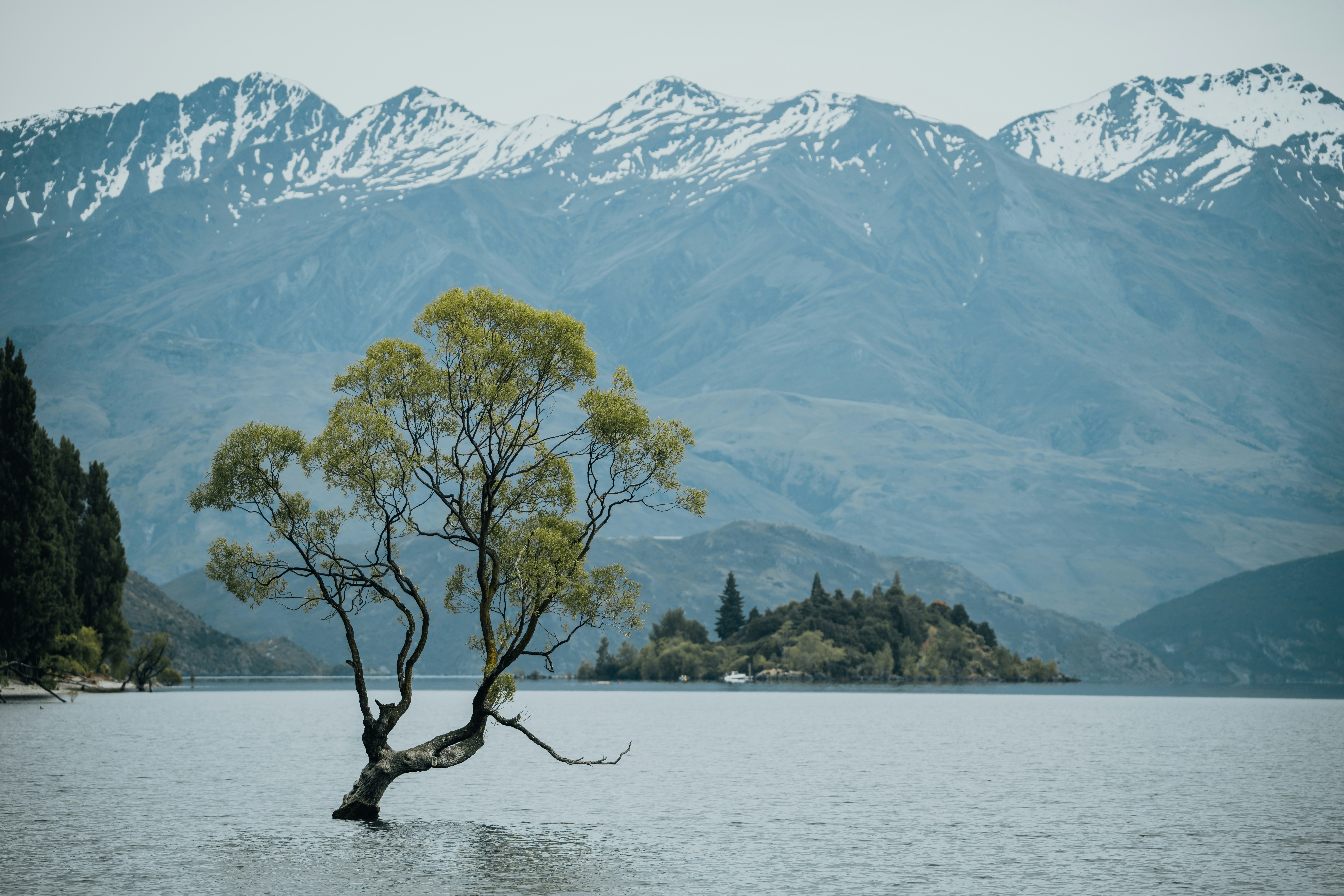 Photo by sebastianluo