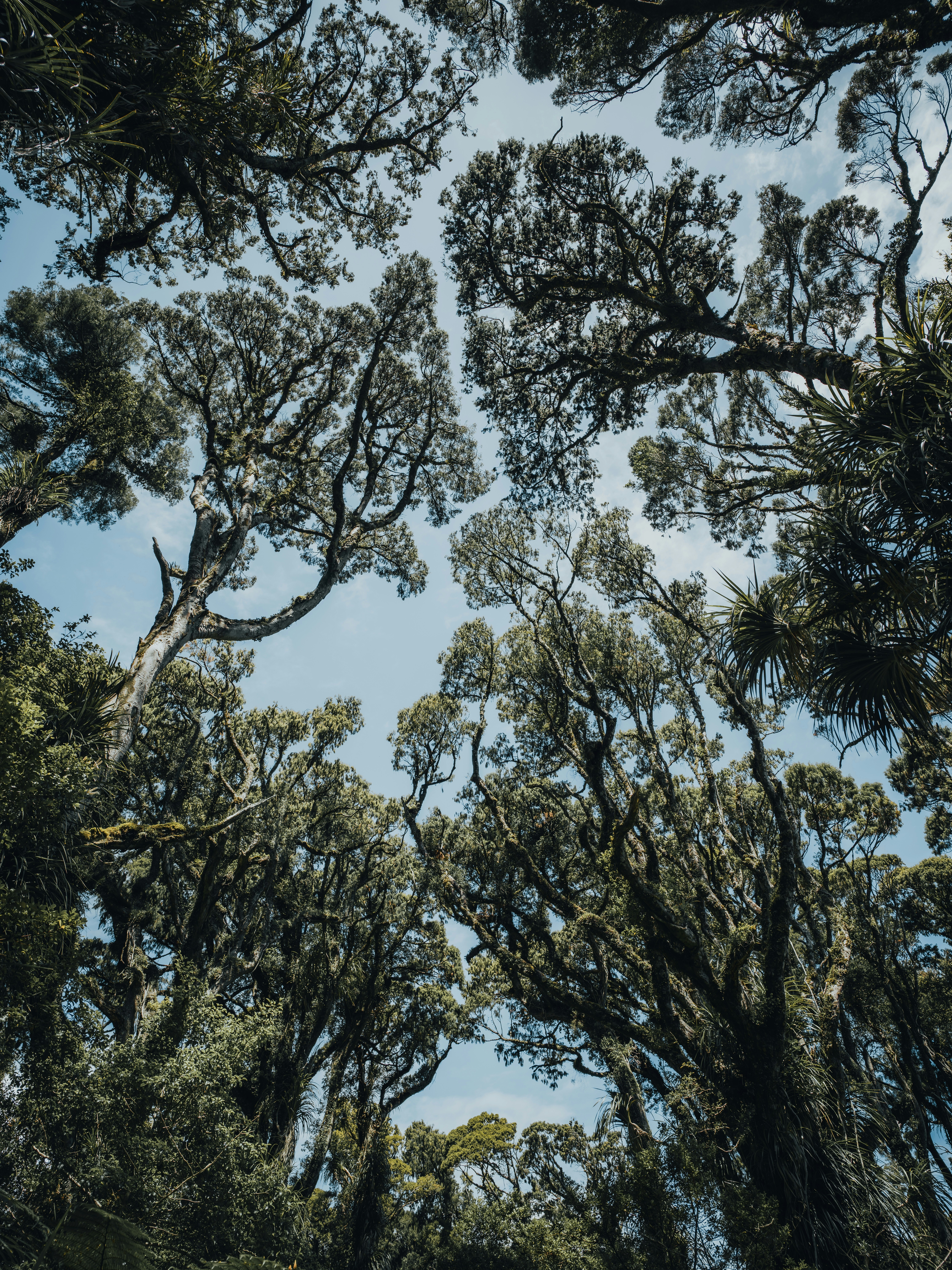 Photo by sebastianluo