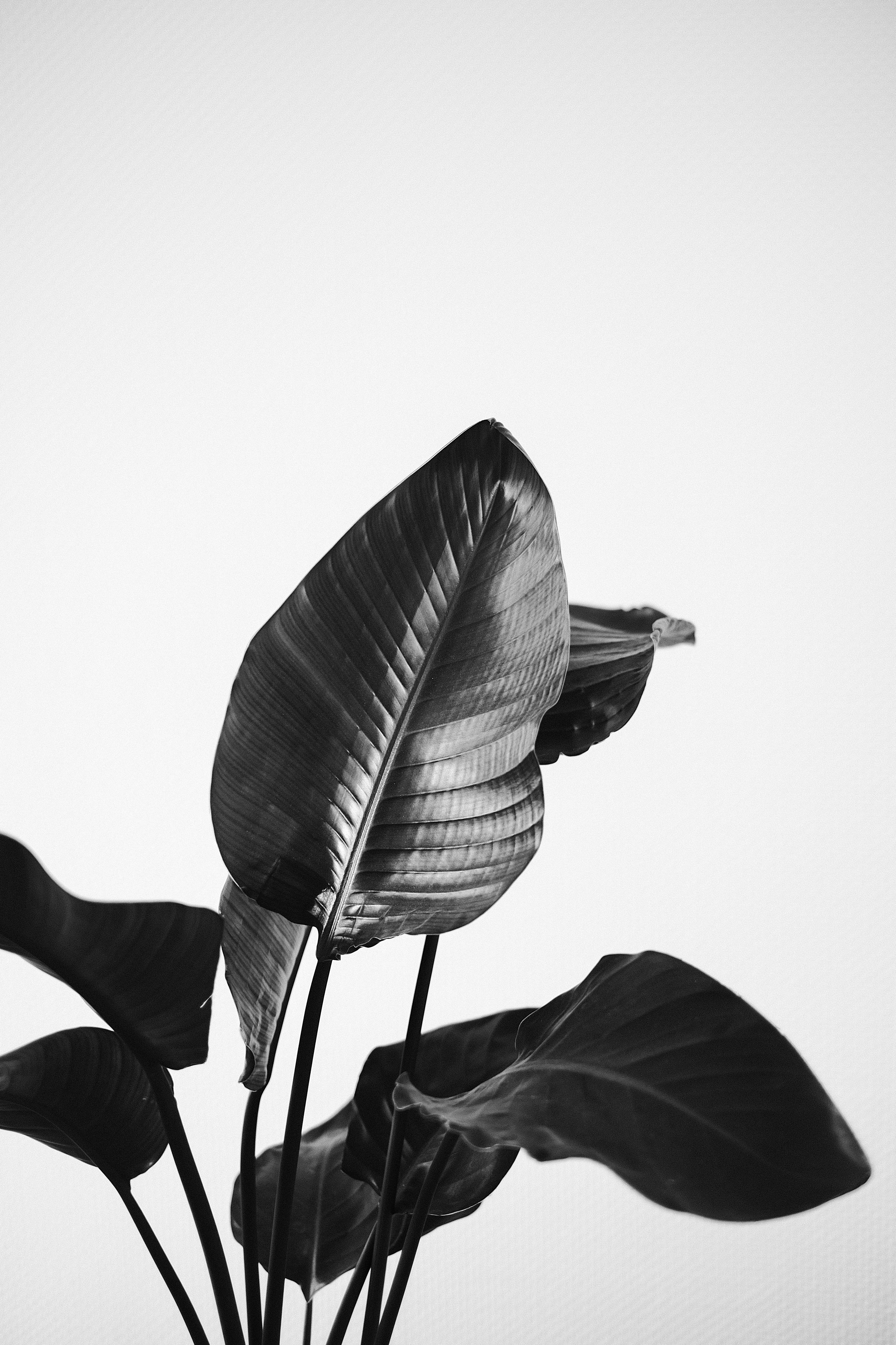 Photo by visualsbying