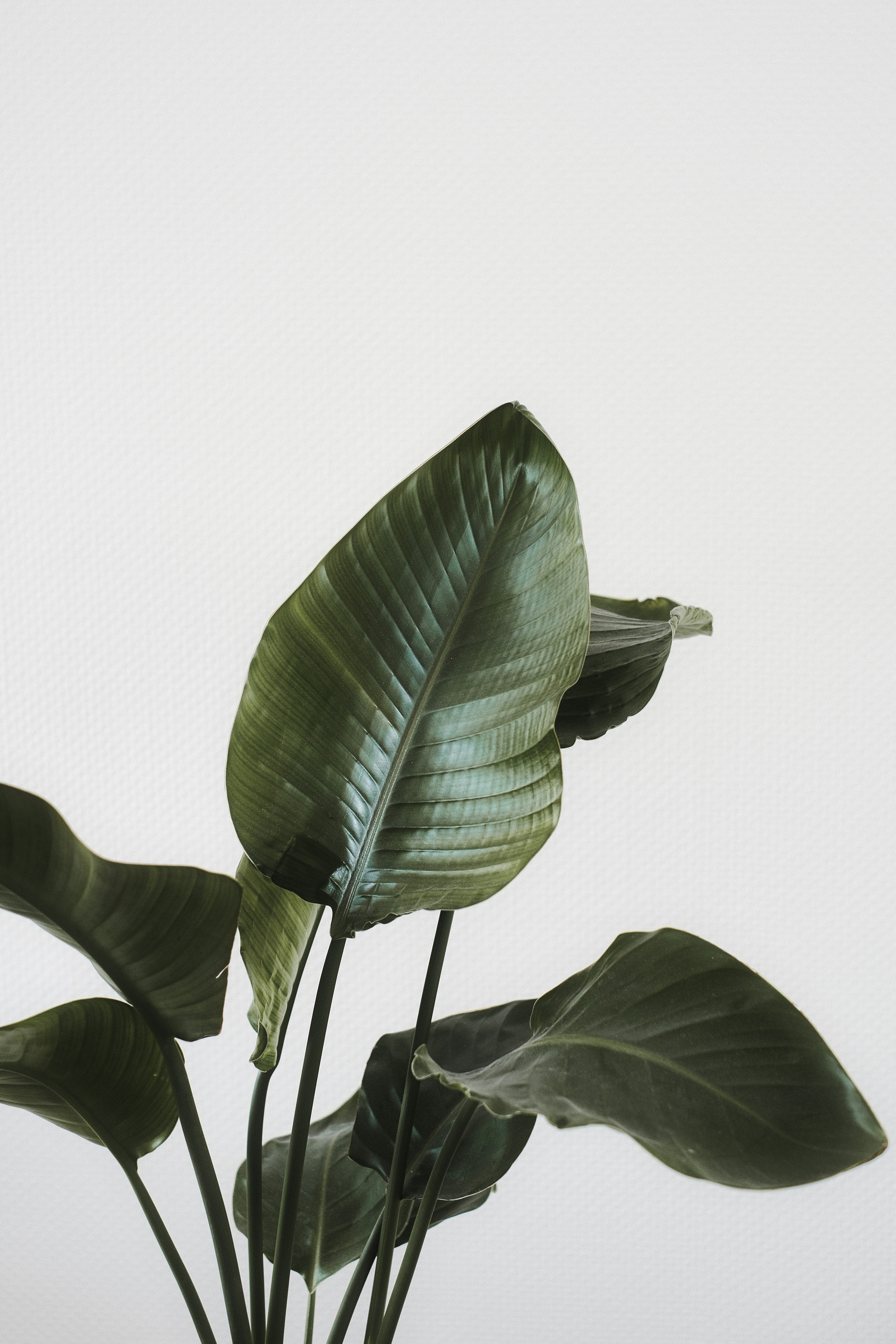 Photo by visualsbying