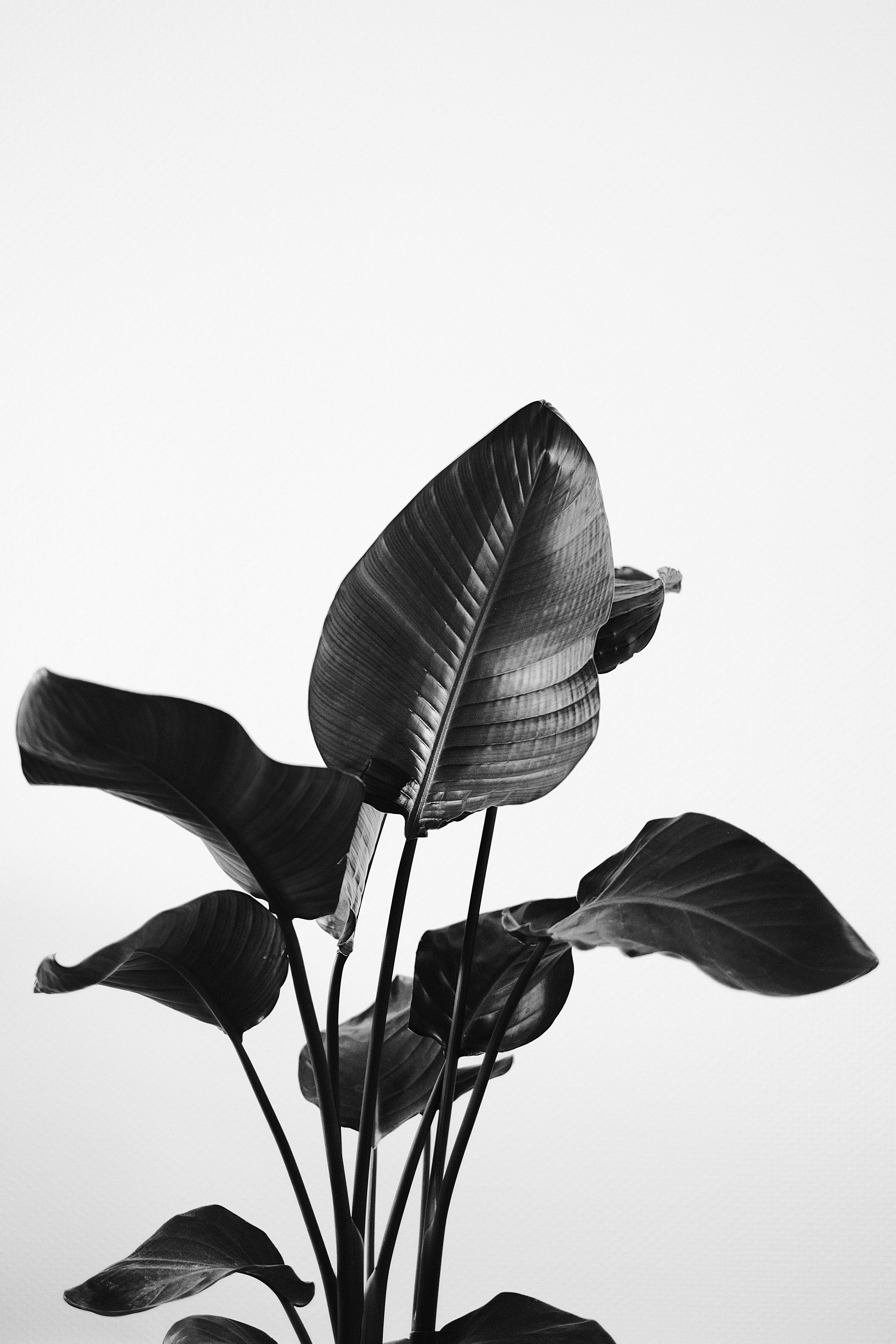 Photo by visualsbying