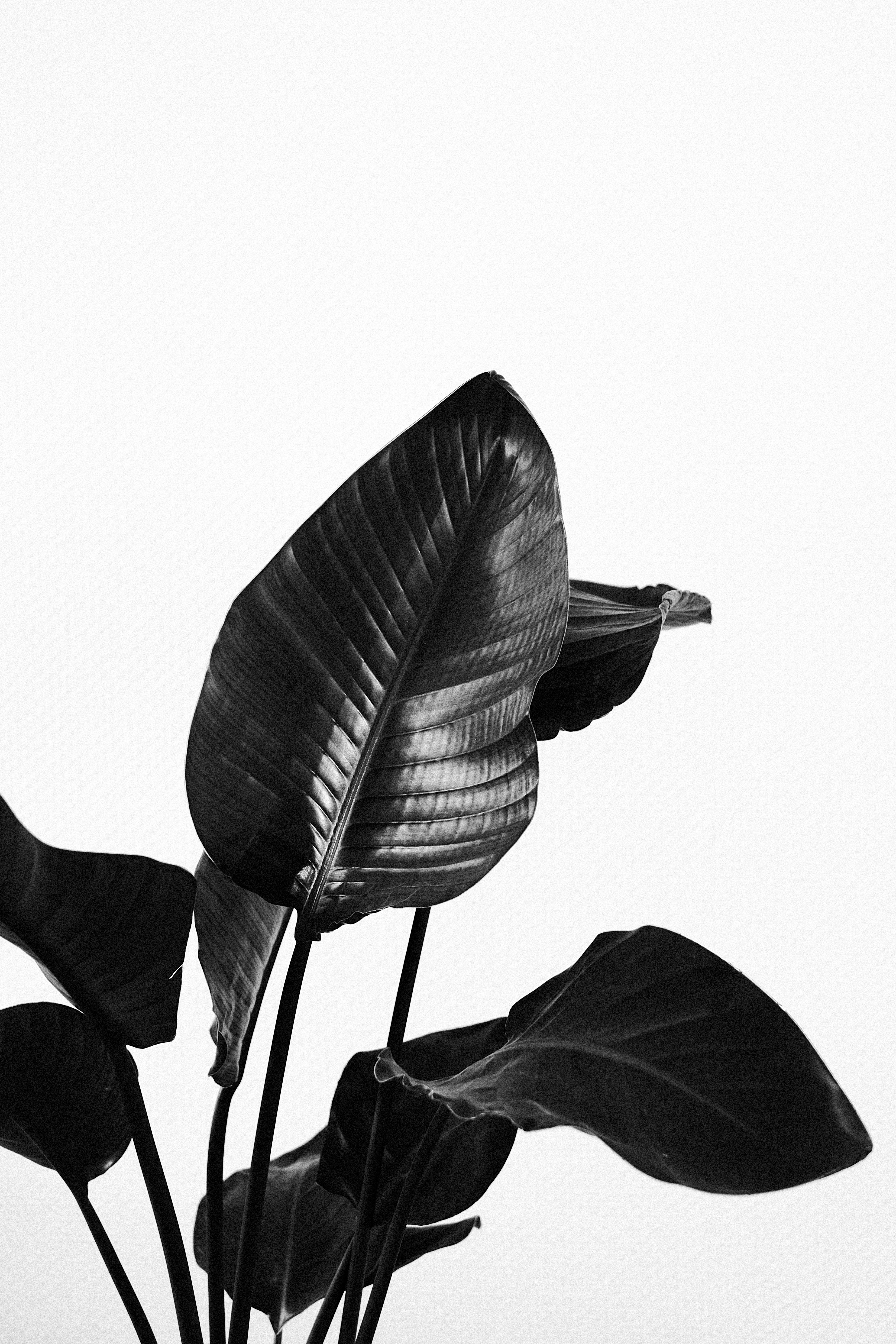 Photo by visualsbying