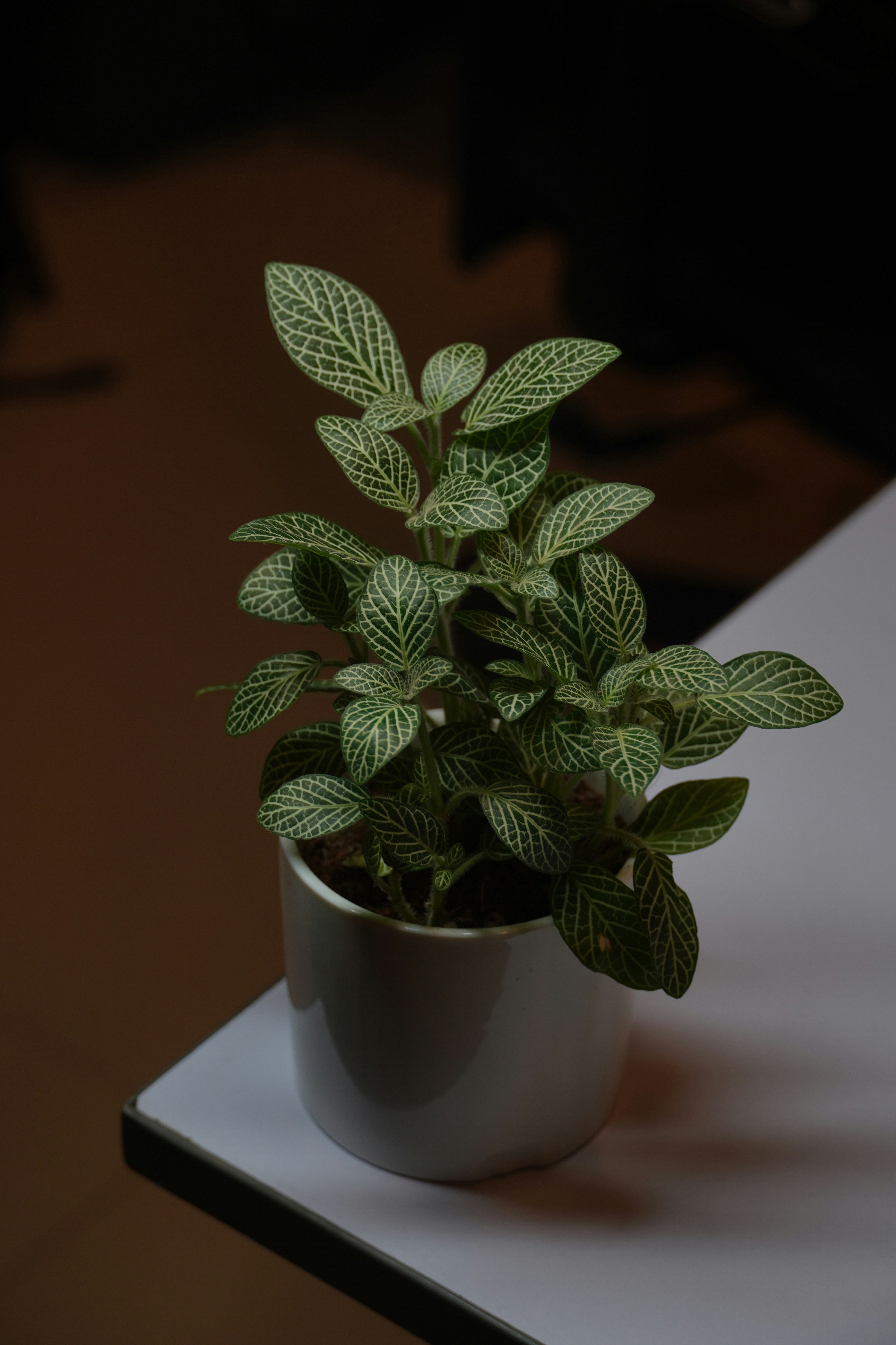 black and white bed linen