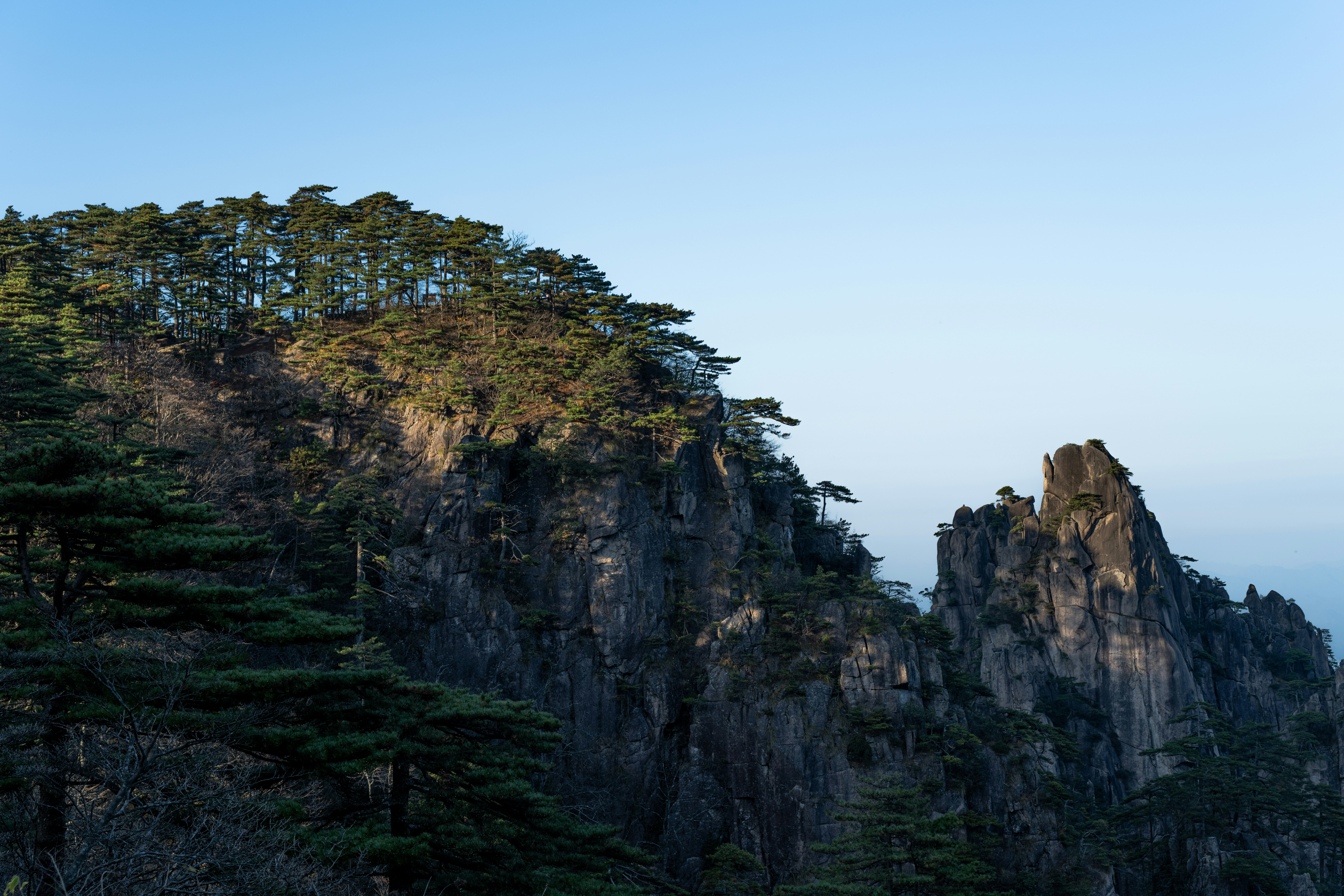 Photo by kaneyoung