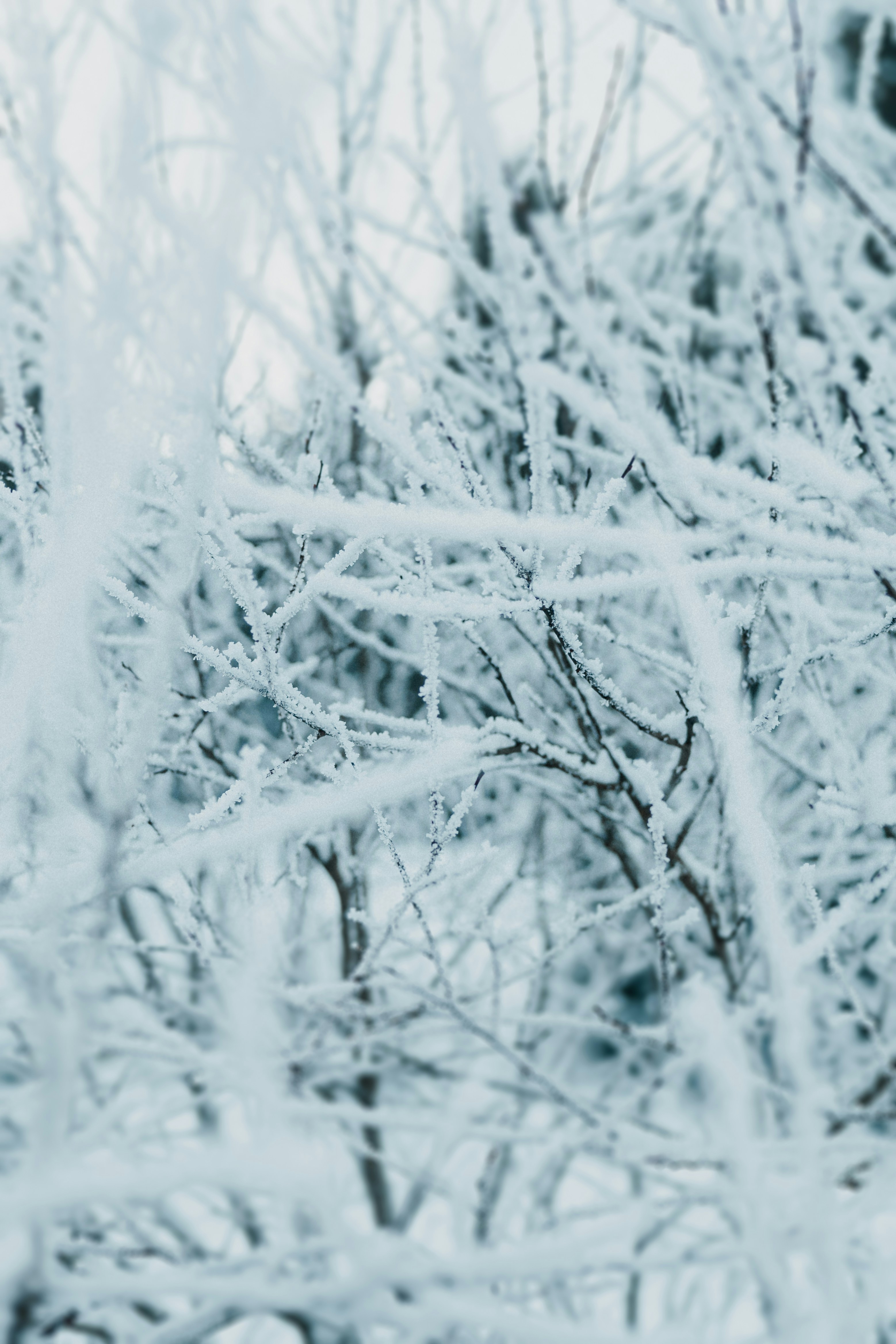 Photo by luiseandnic