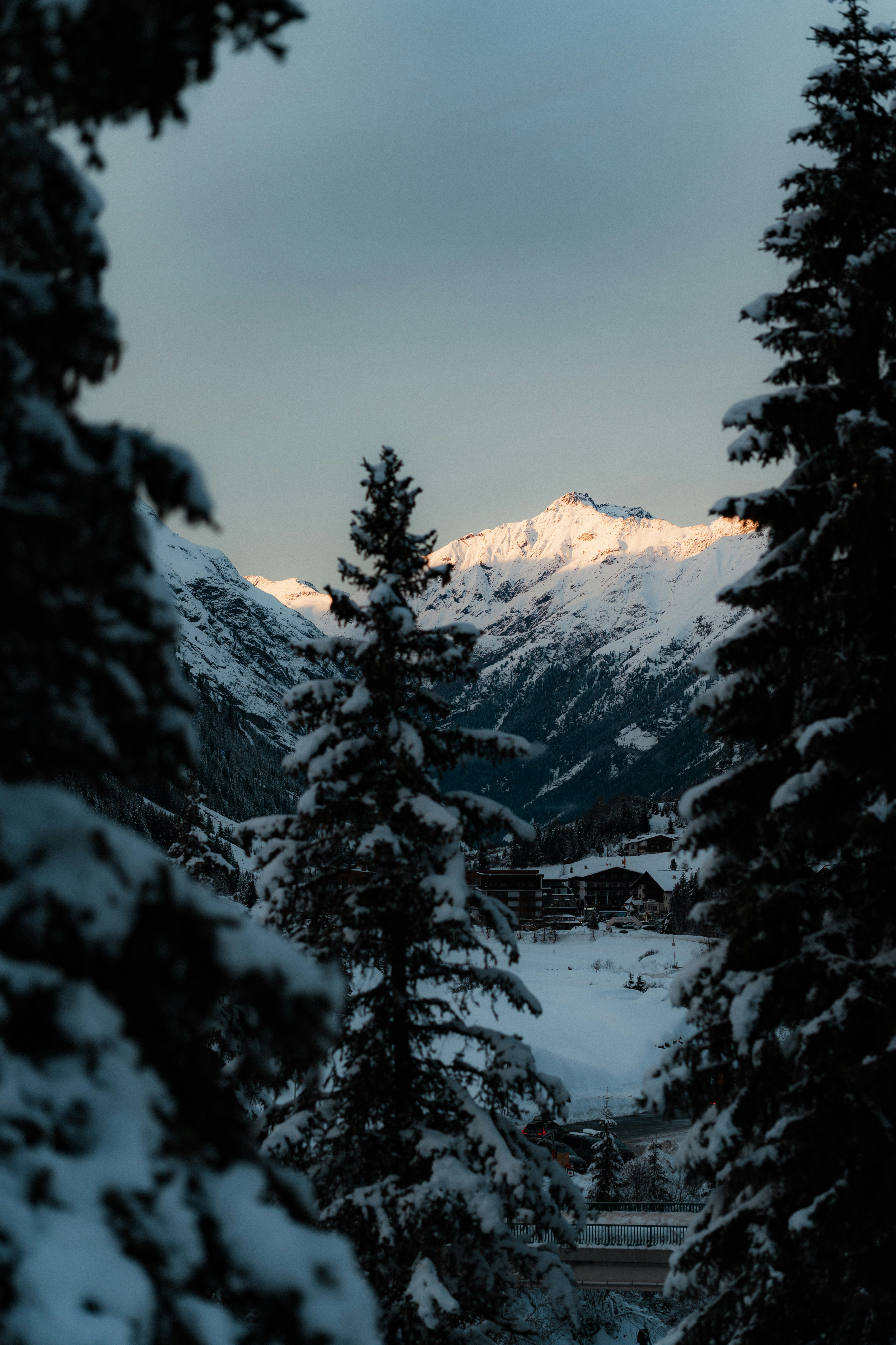 Photo by luiseandnic