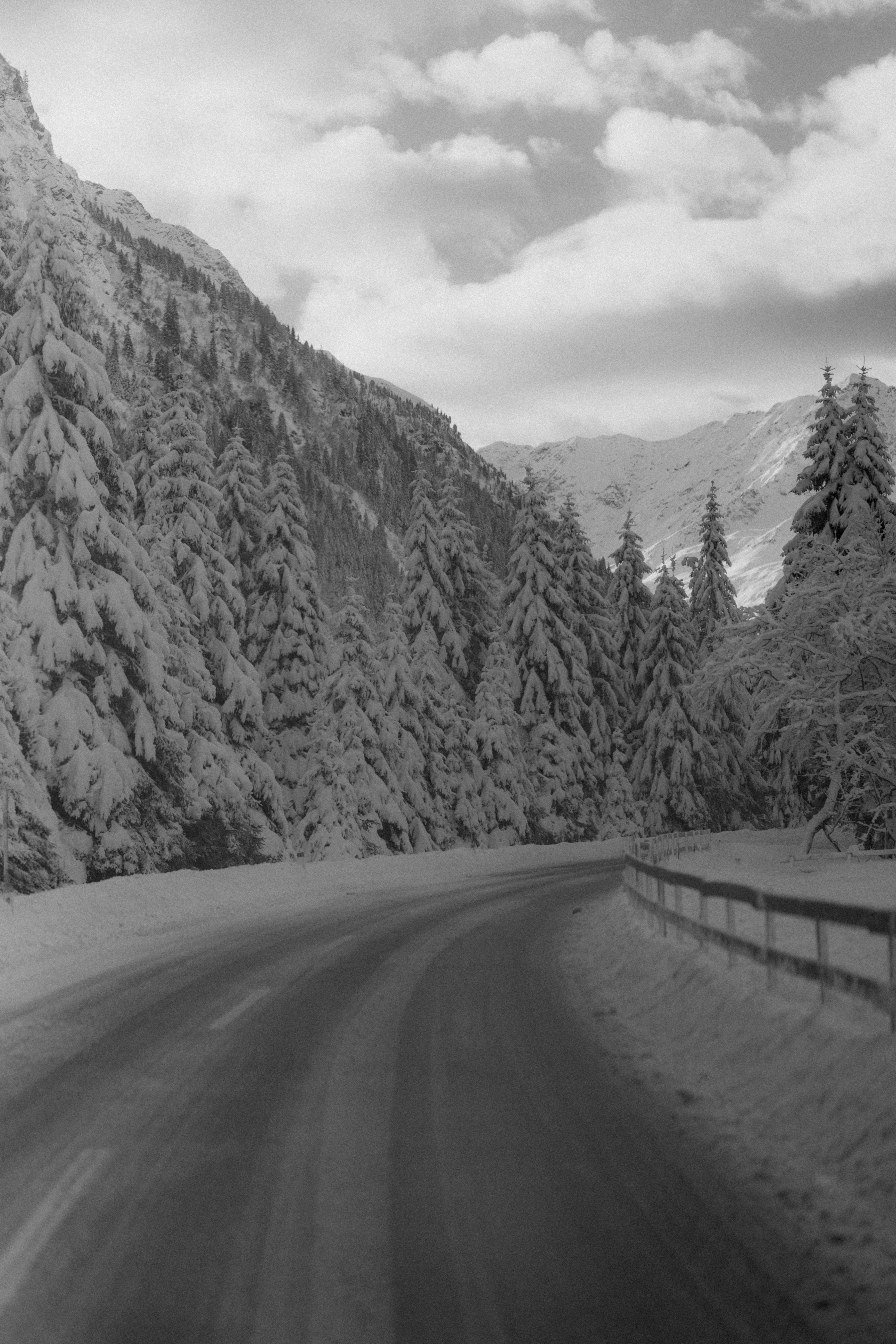 Photo by luiseandnic