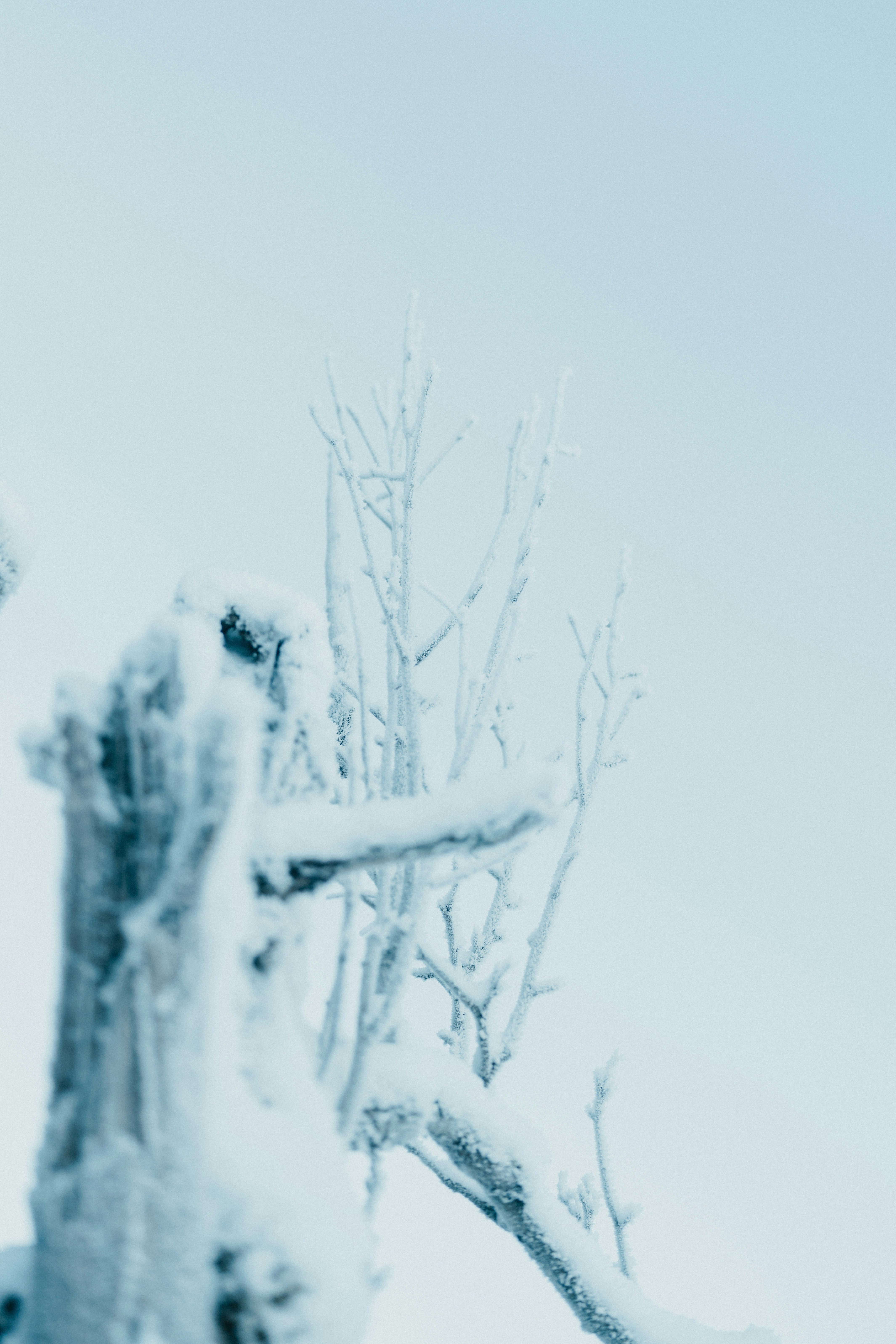 Photo by luiseandnic