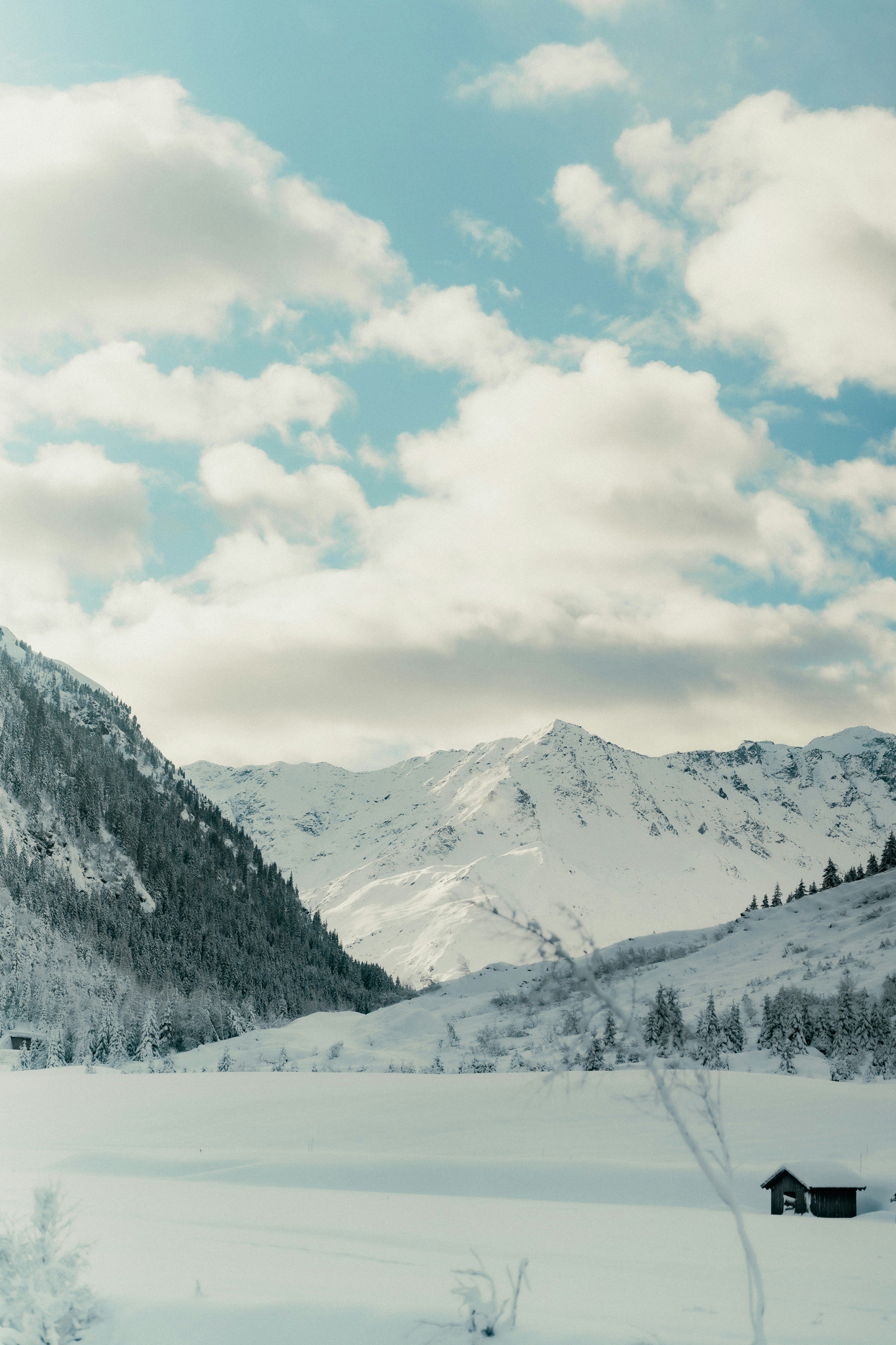 Photo by luiseandnic