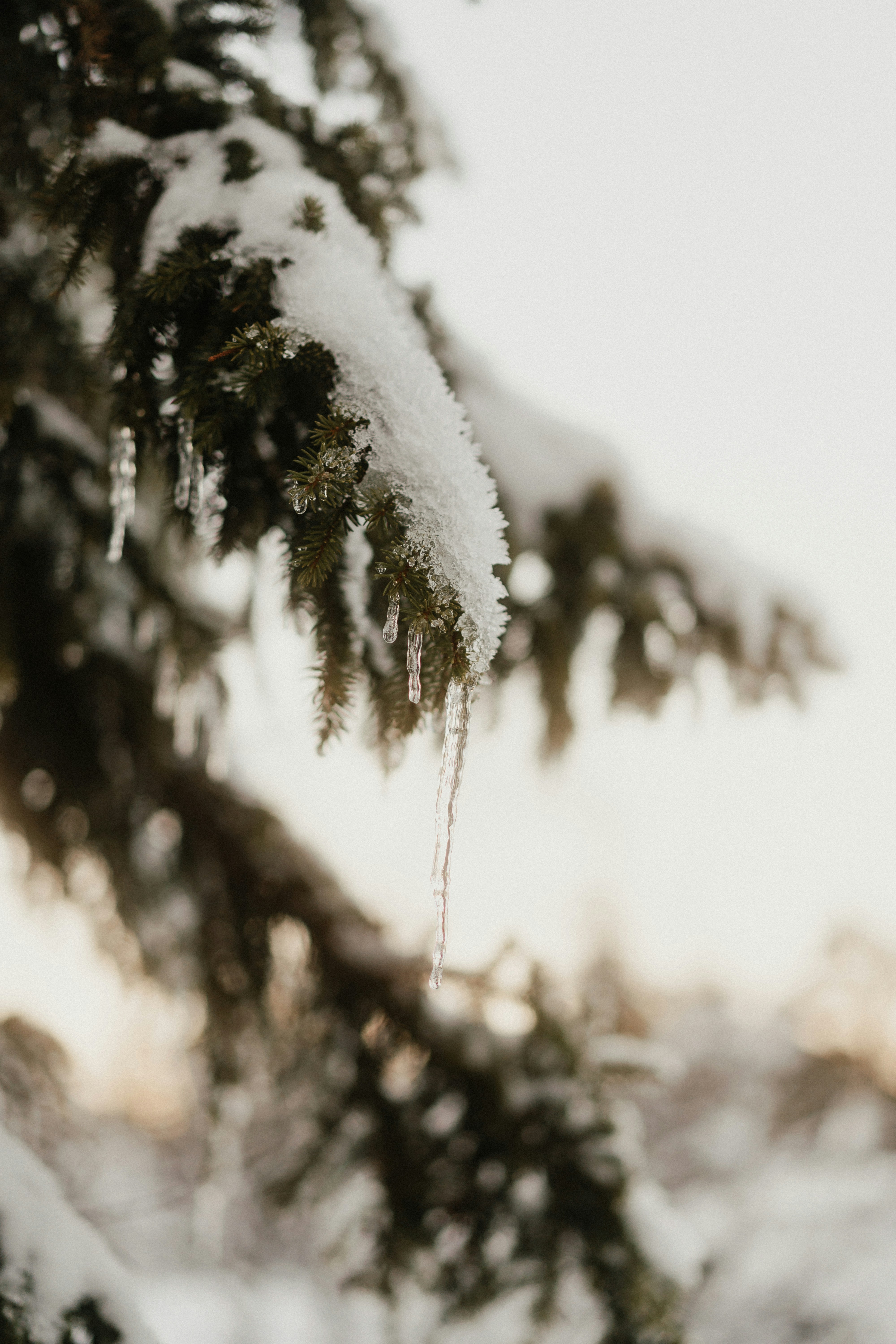 Photo by luiseandnic