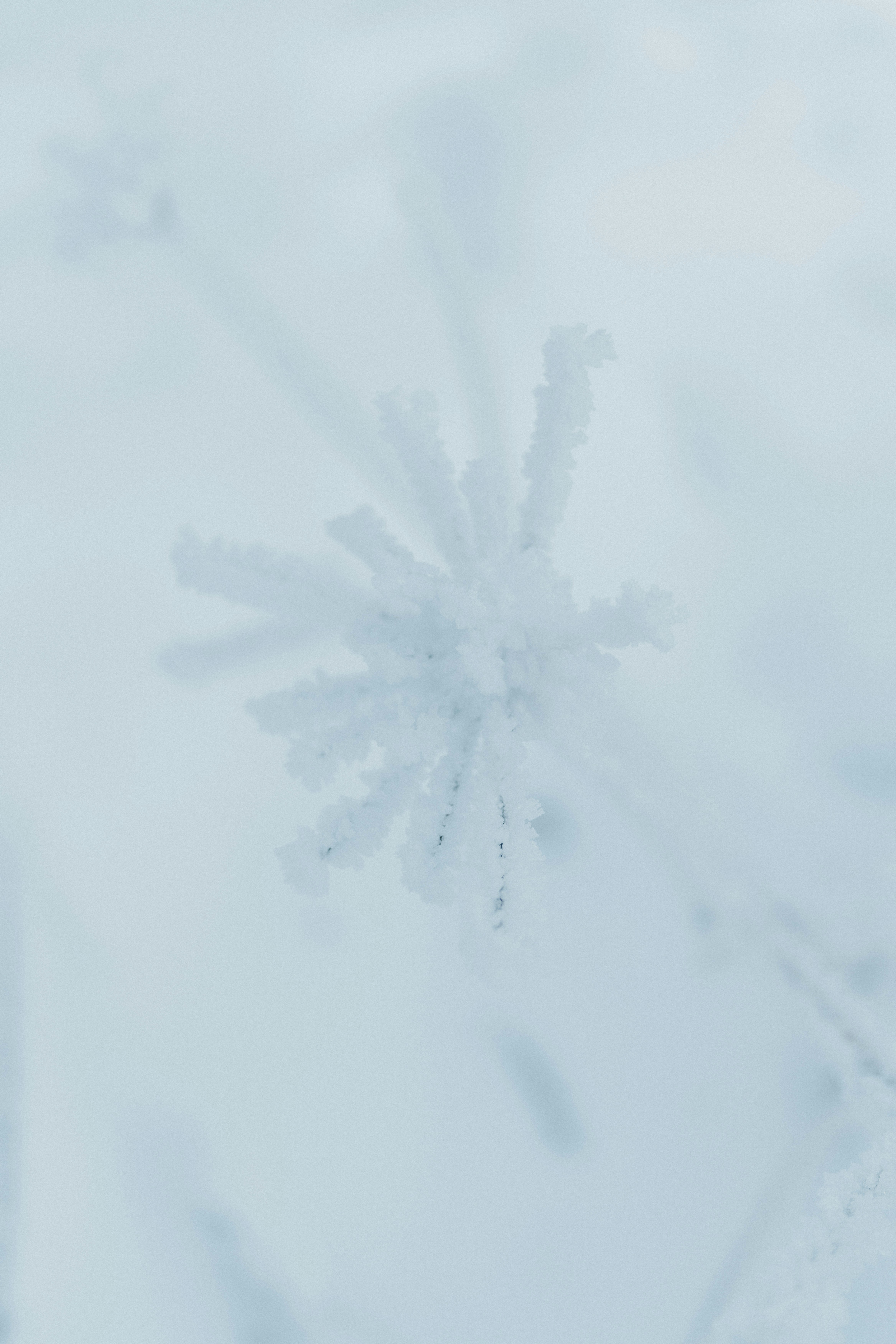 Photo by luiseandnic