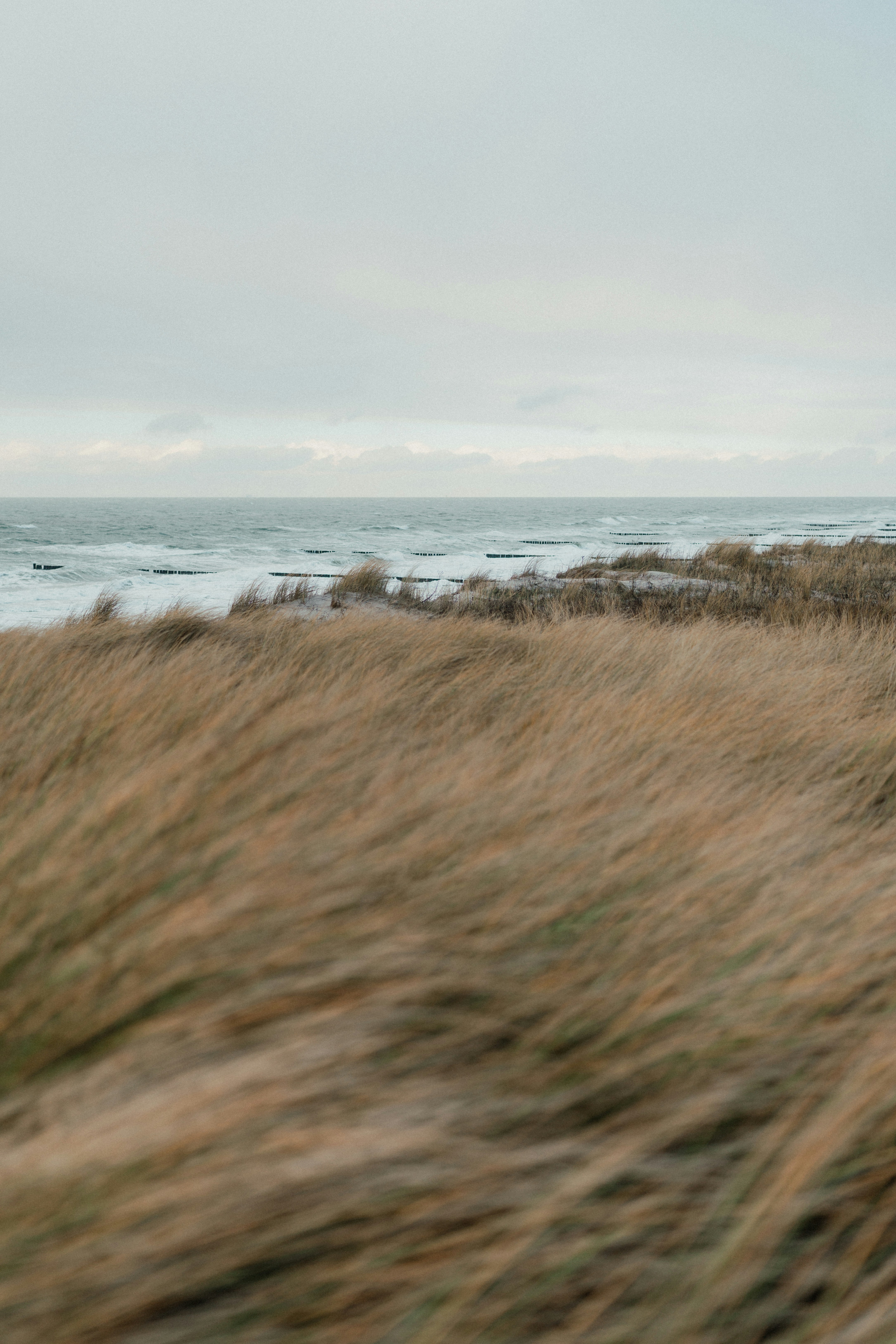 Photo by luiseandnic