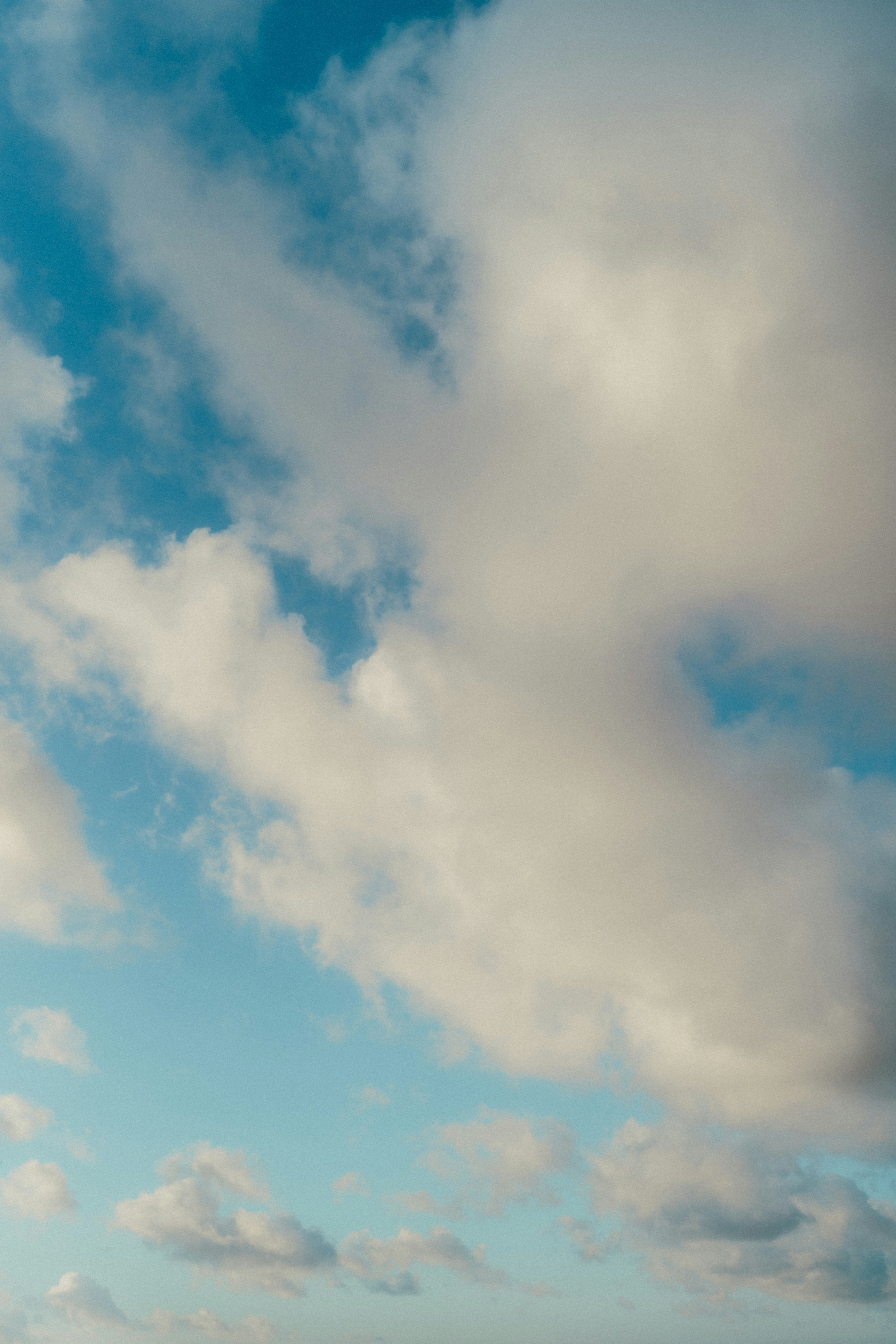 Photo by luiseandnic