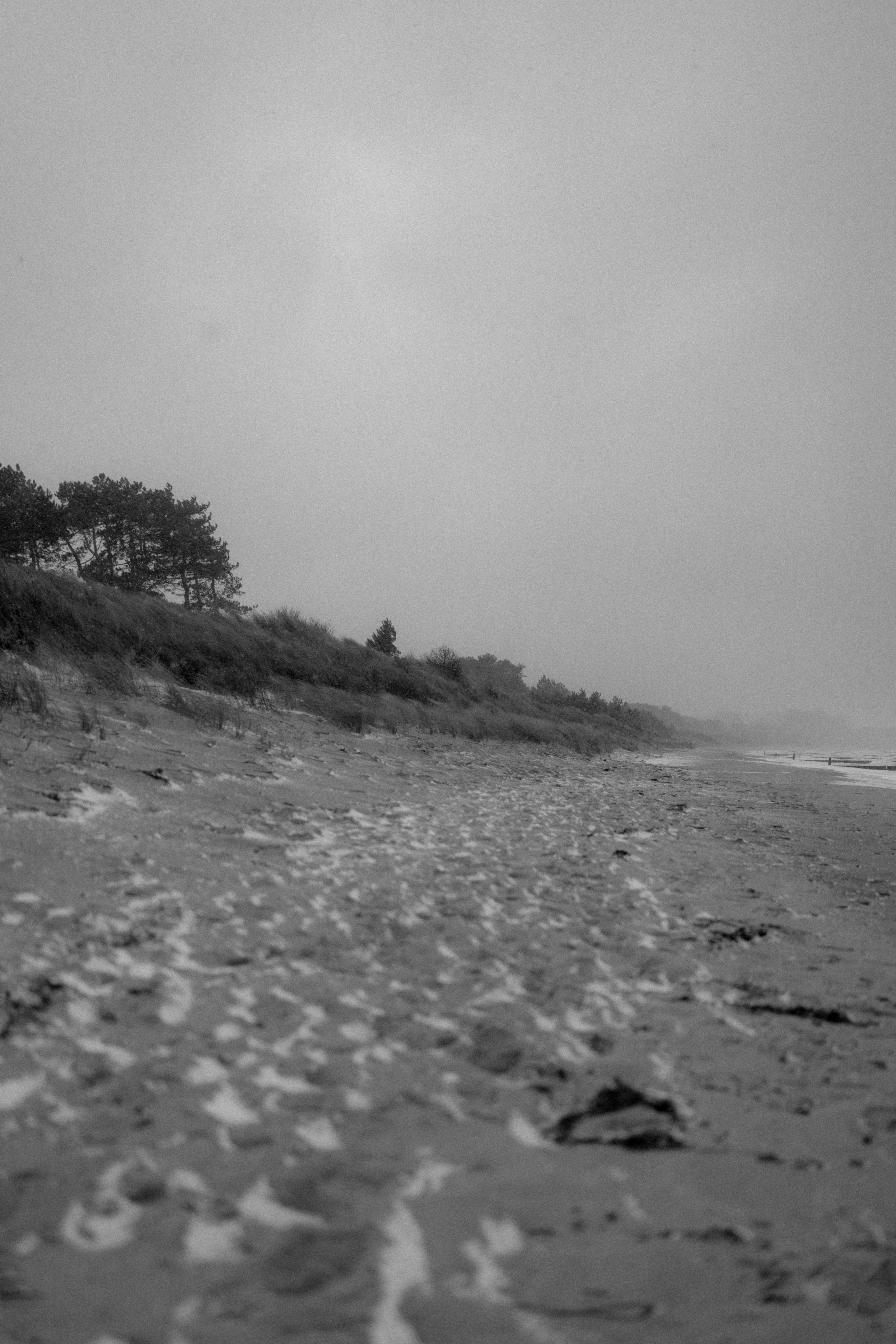 Photo by luiseandnic