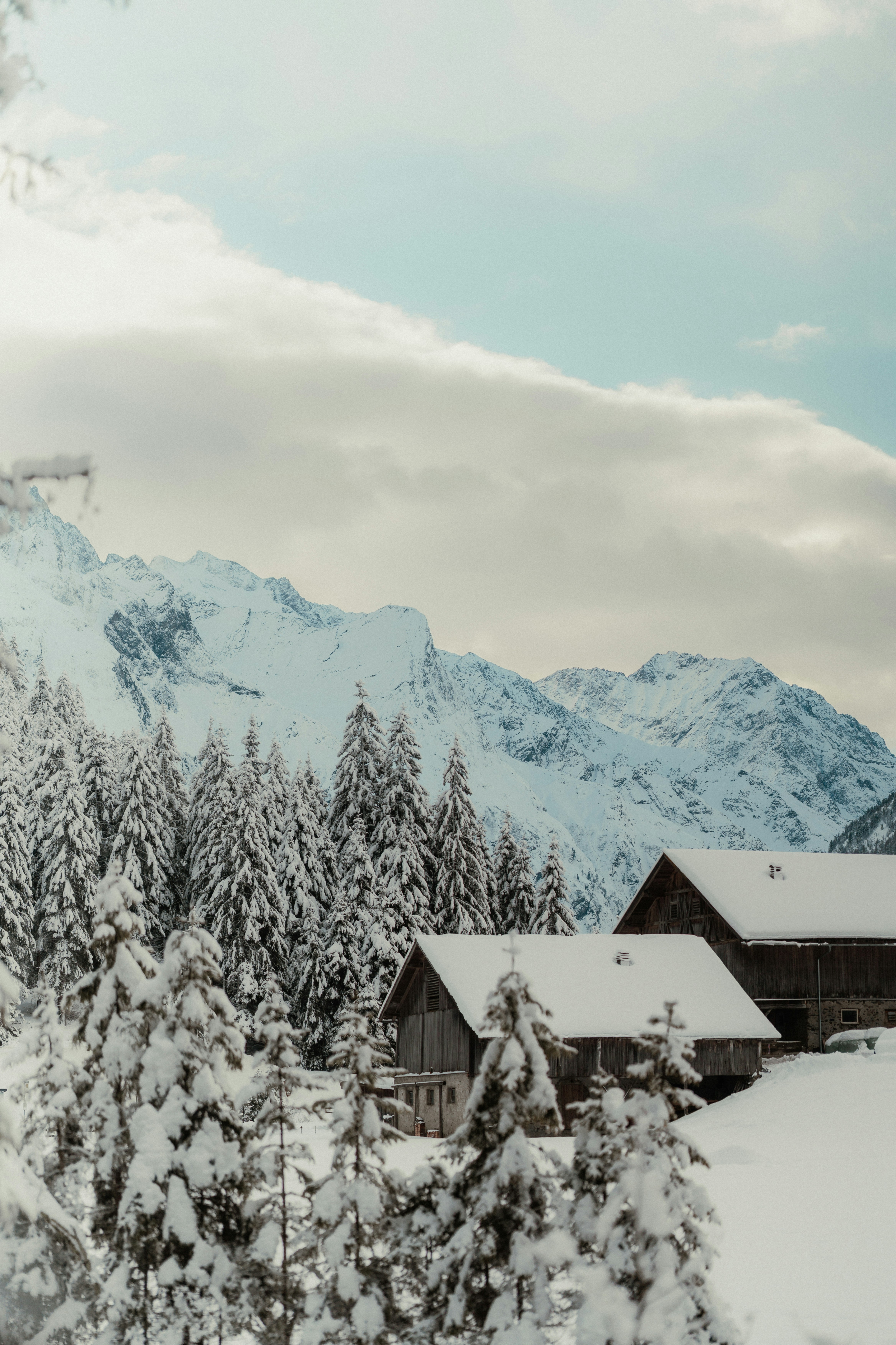 Photo by luiseandnic