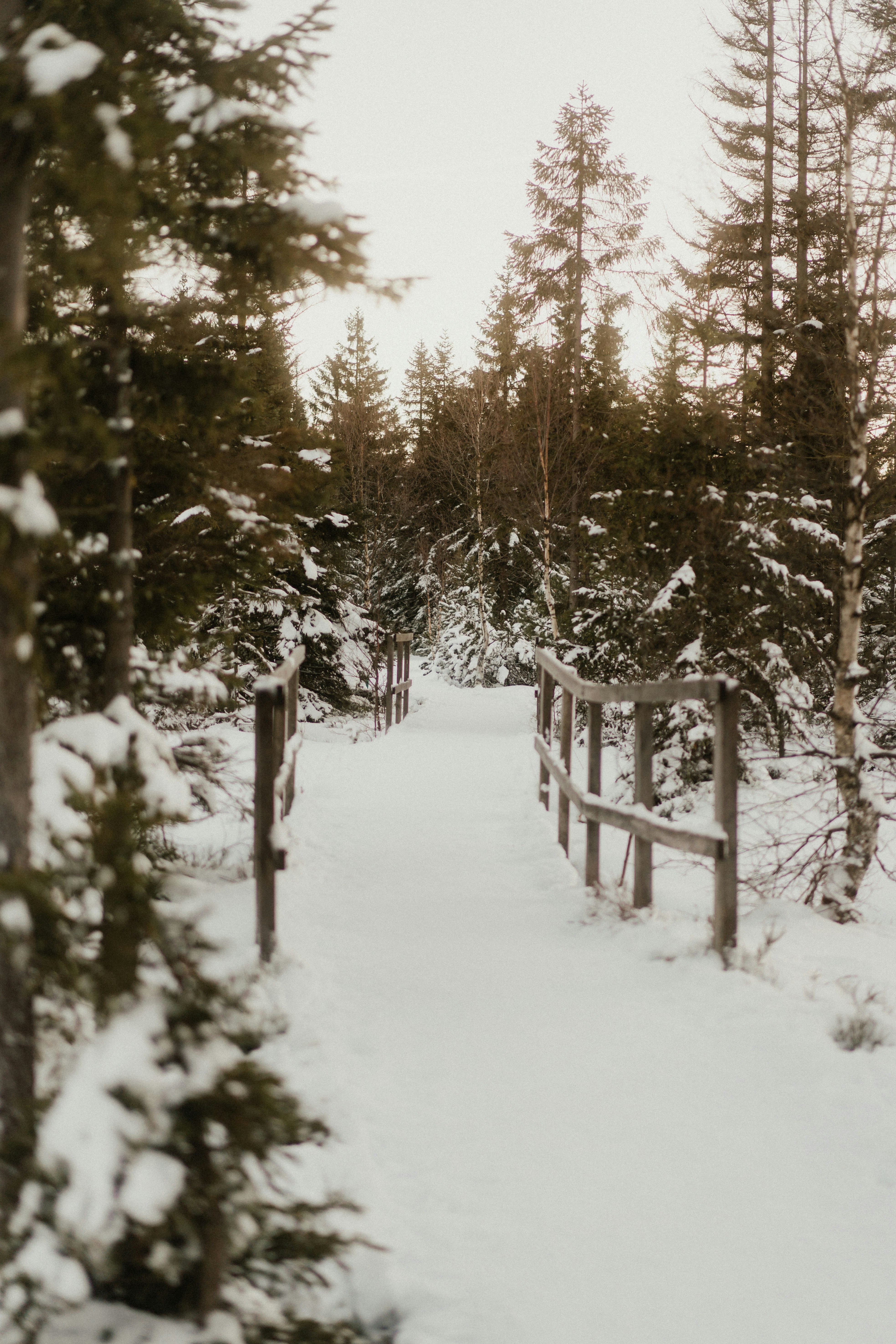 Photo by luiseandnic