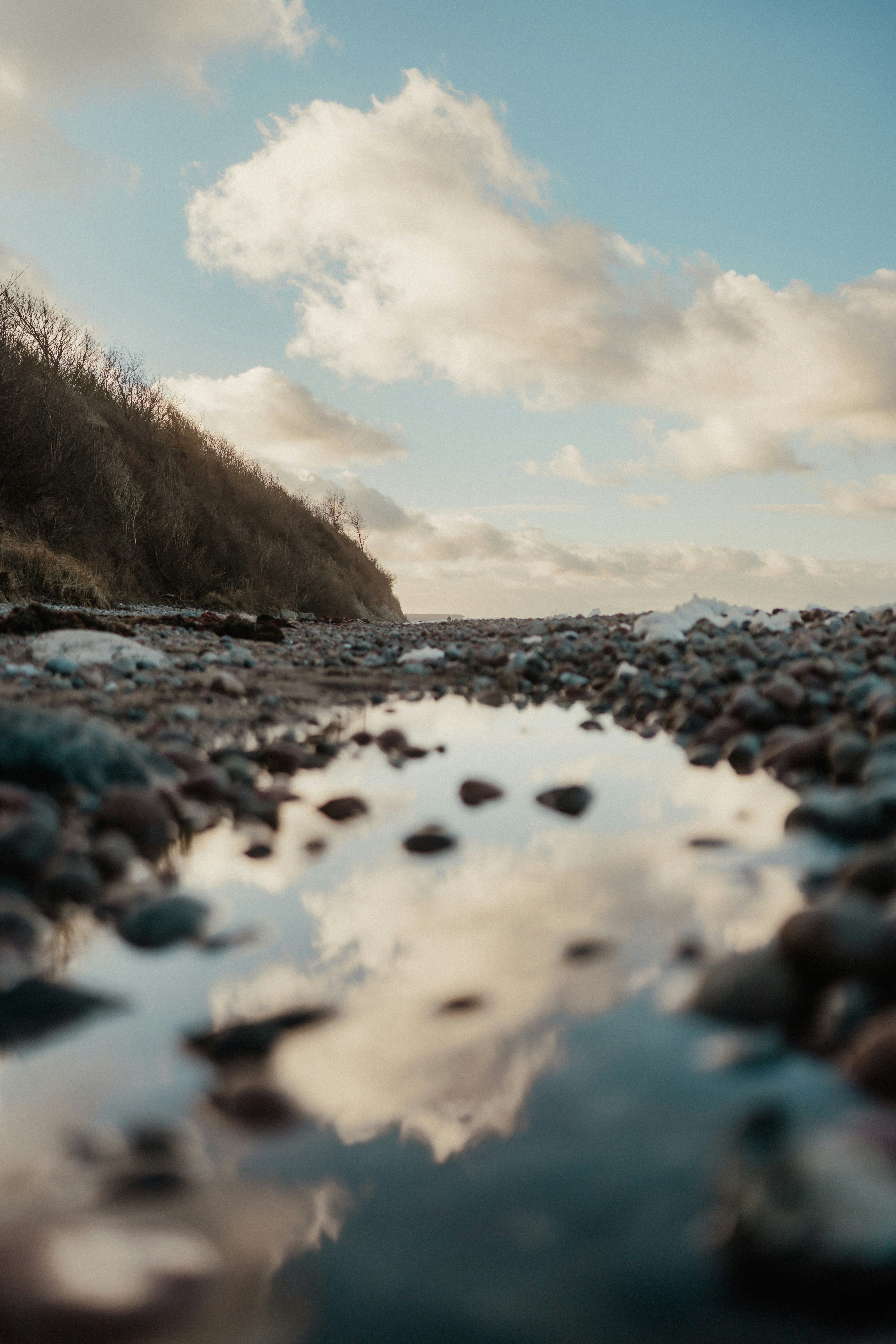 Photo by luiseandnic