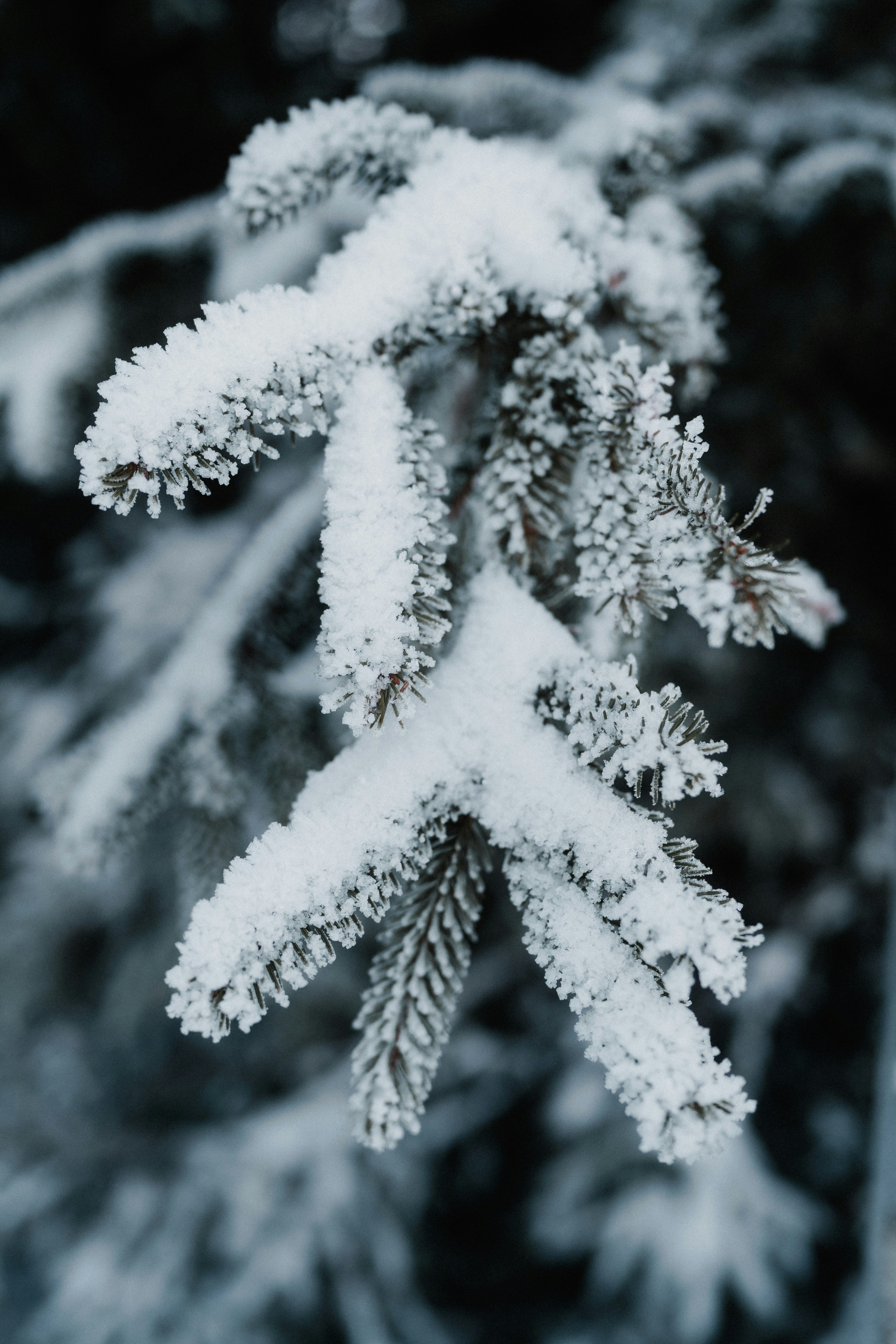 Photo by luiseandnic