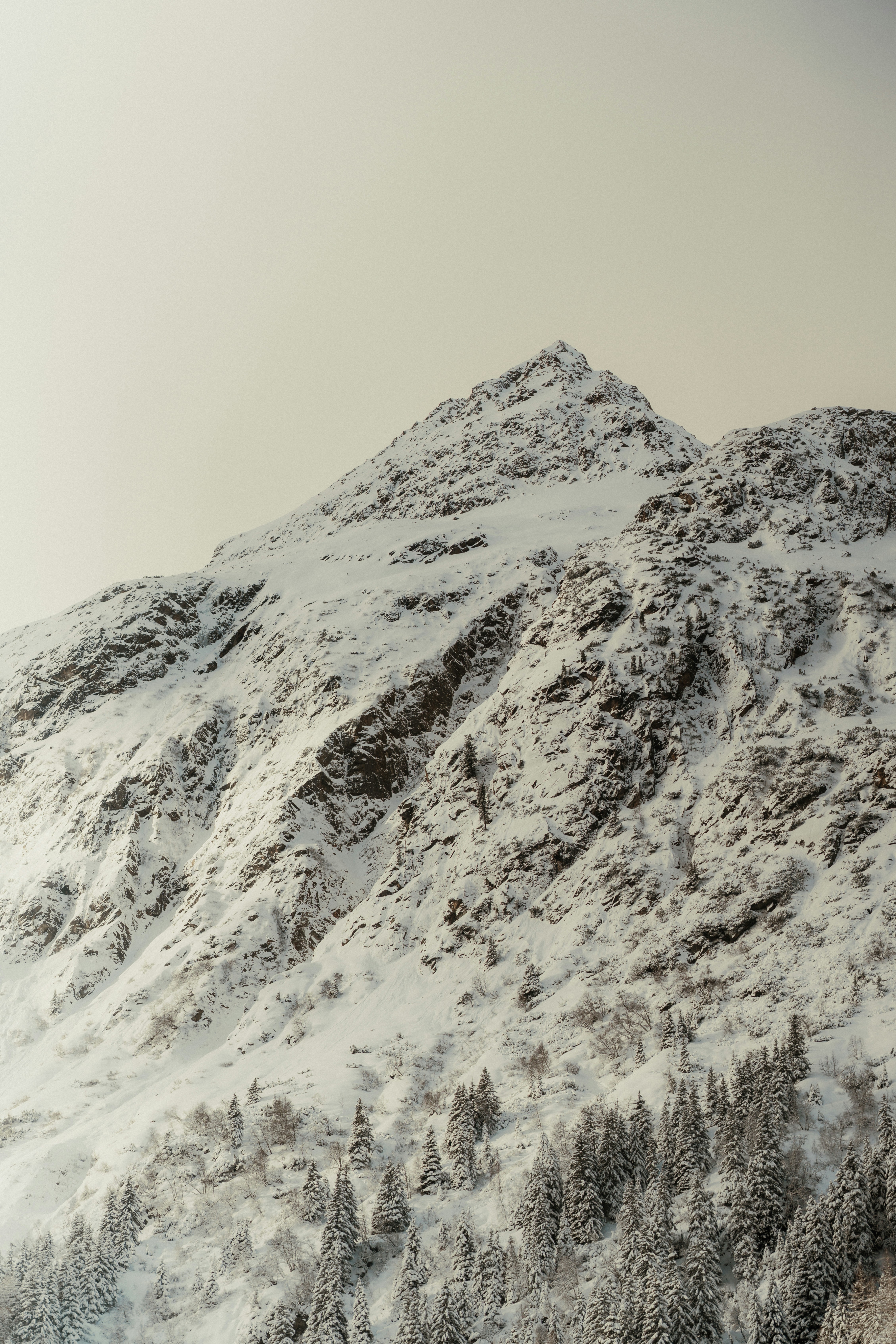 Photo by luiseandnic